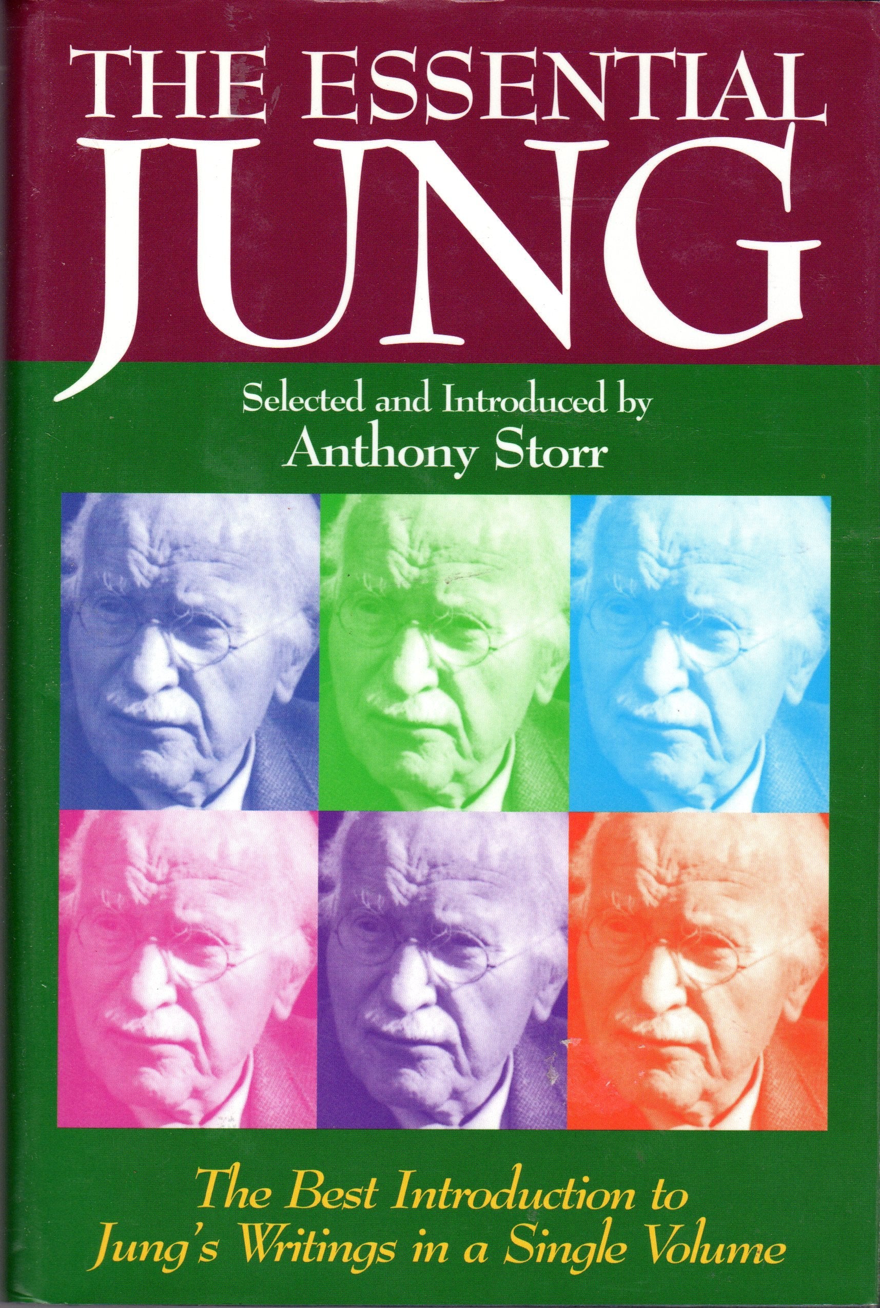 The Essential Jung,Used