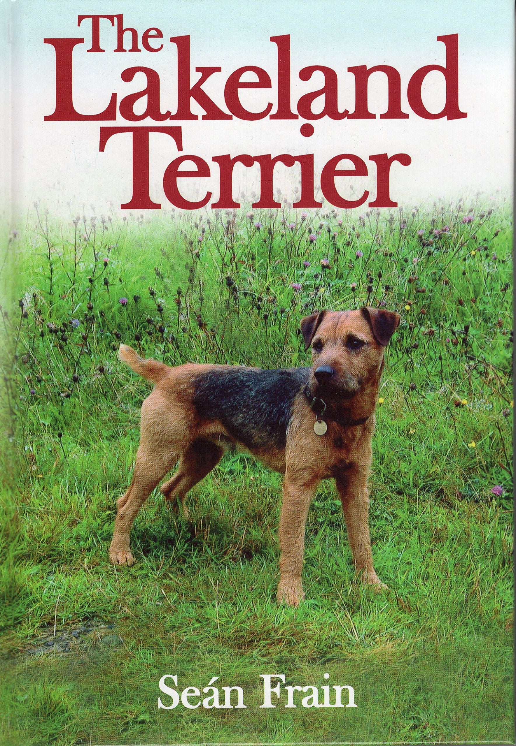 The Lakeland Terrier,Used