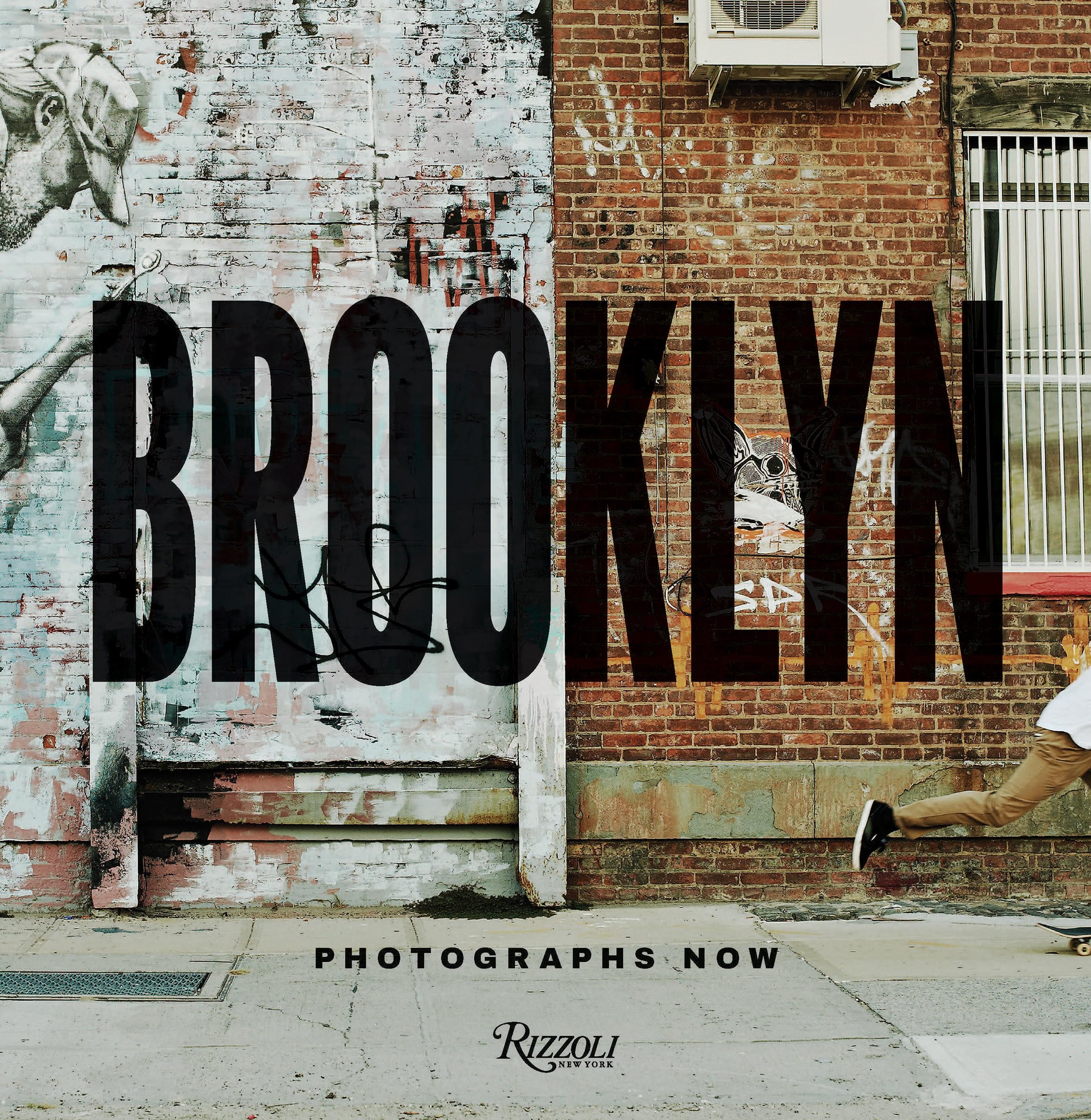 Brooklyn Photographs Now,New