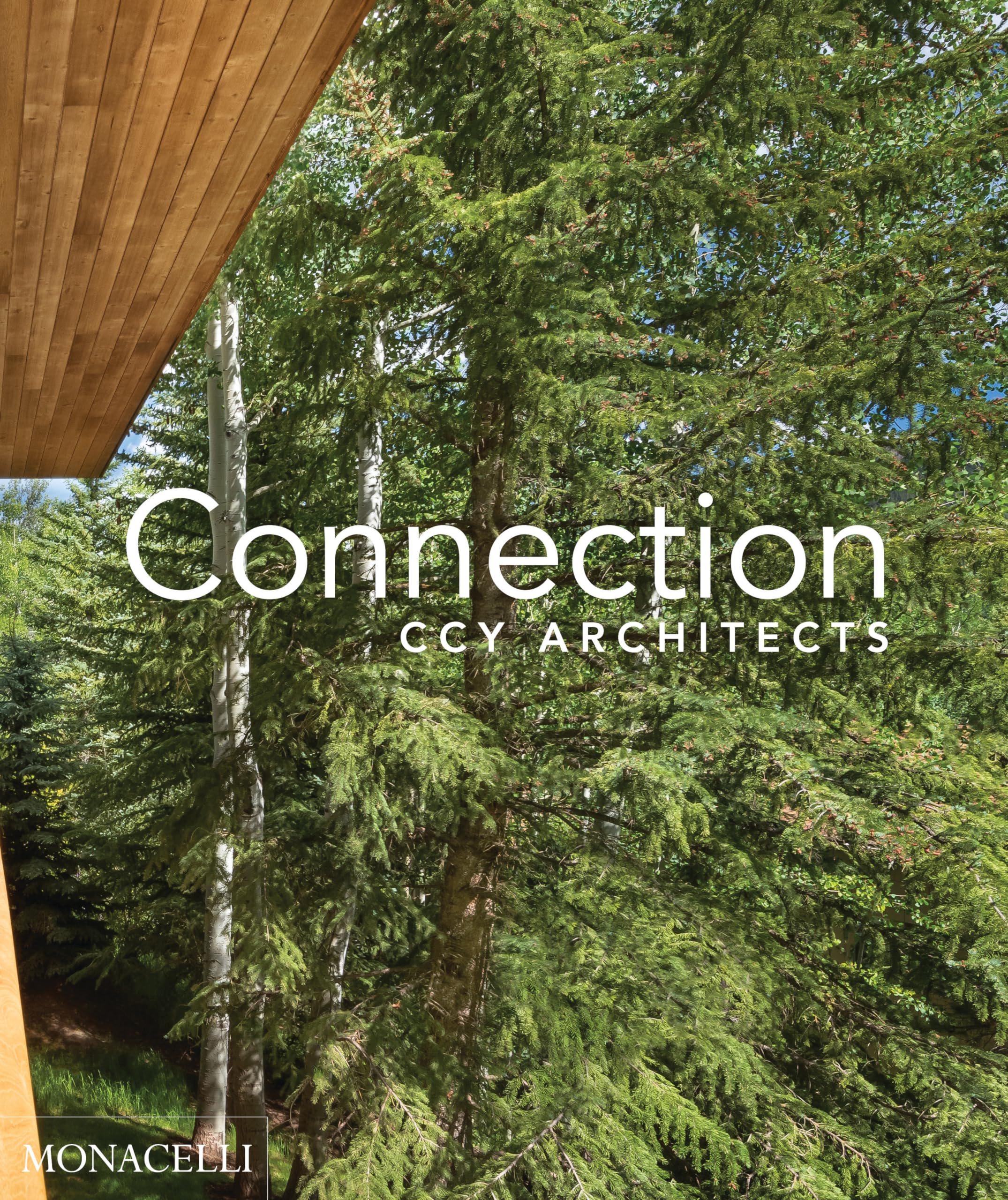 Connection: Ccy Architects