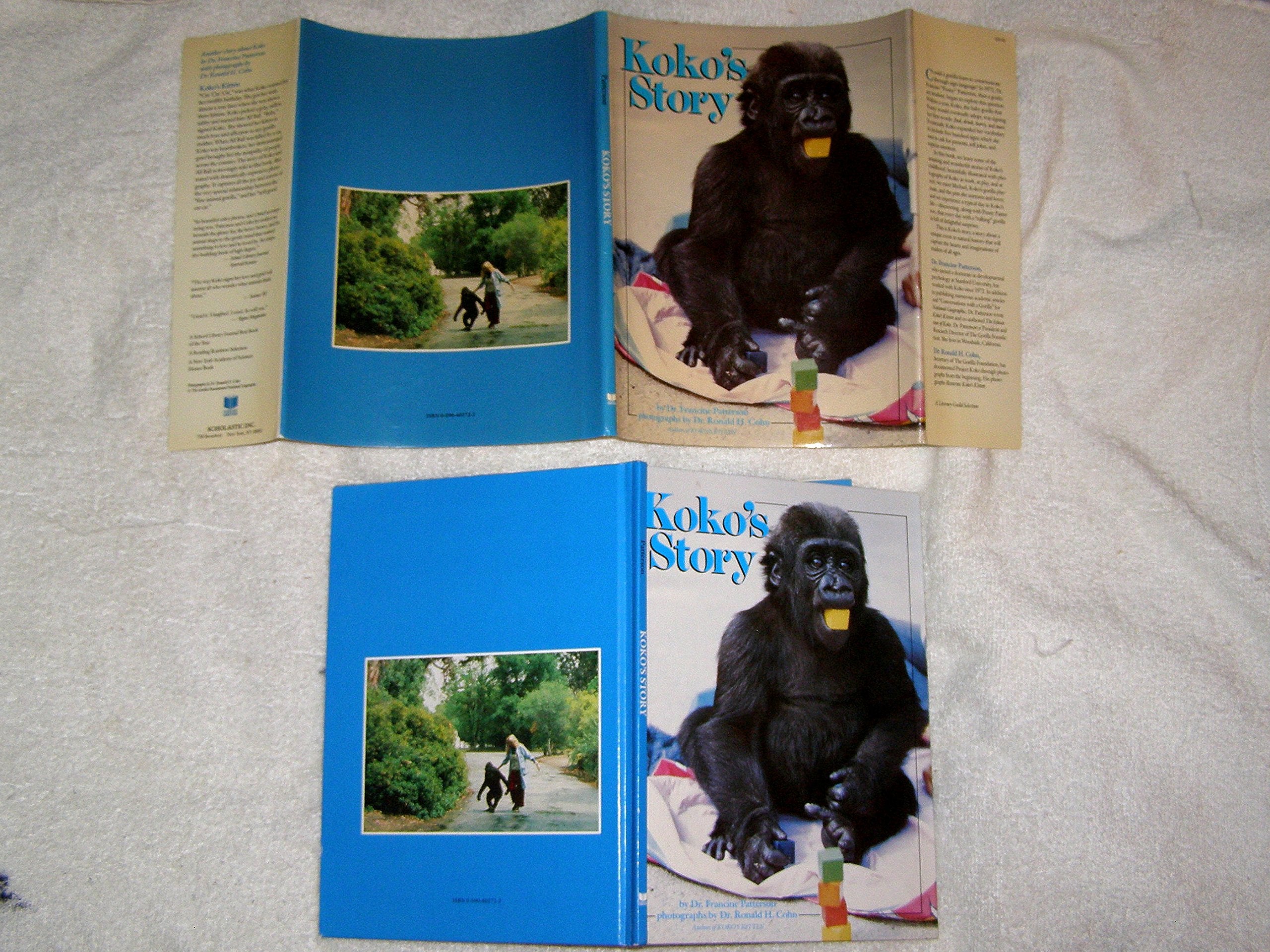 Koko'S Story (Scholastic)