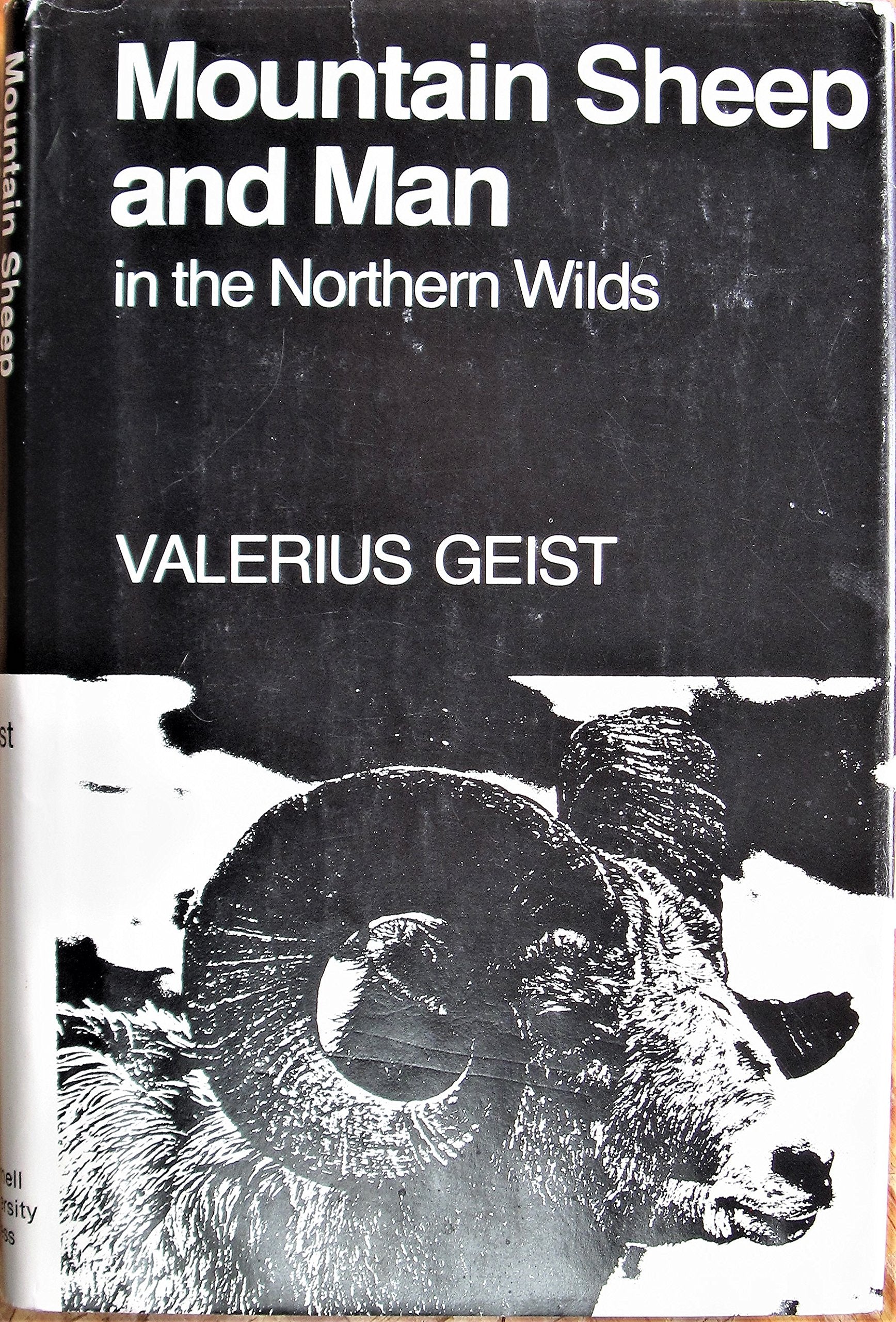 Mountain Sheep and Man in the Northern Wilds by Geist, Valerius (1975) Hardcover,Used