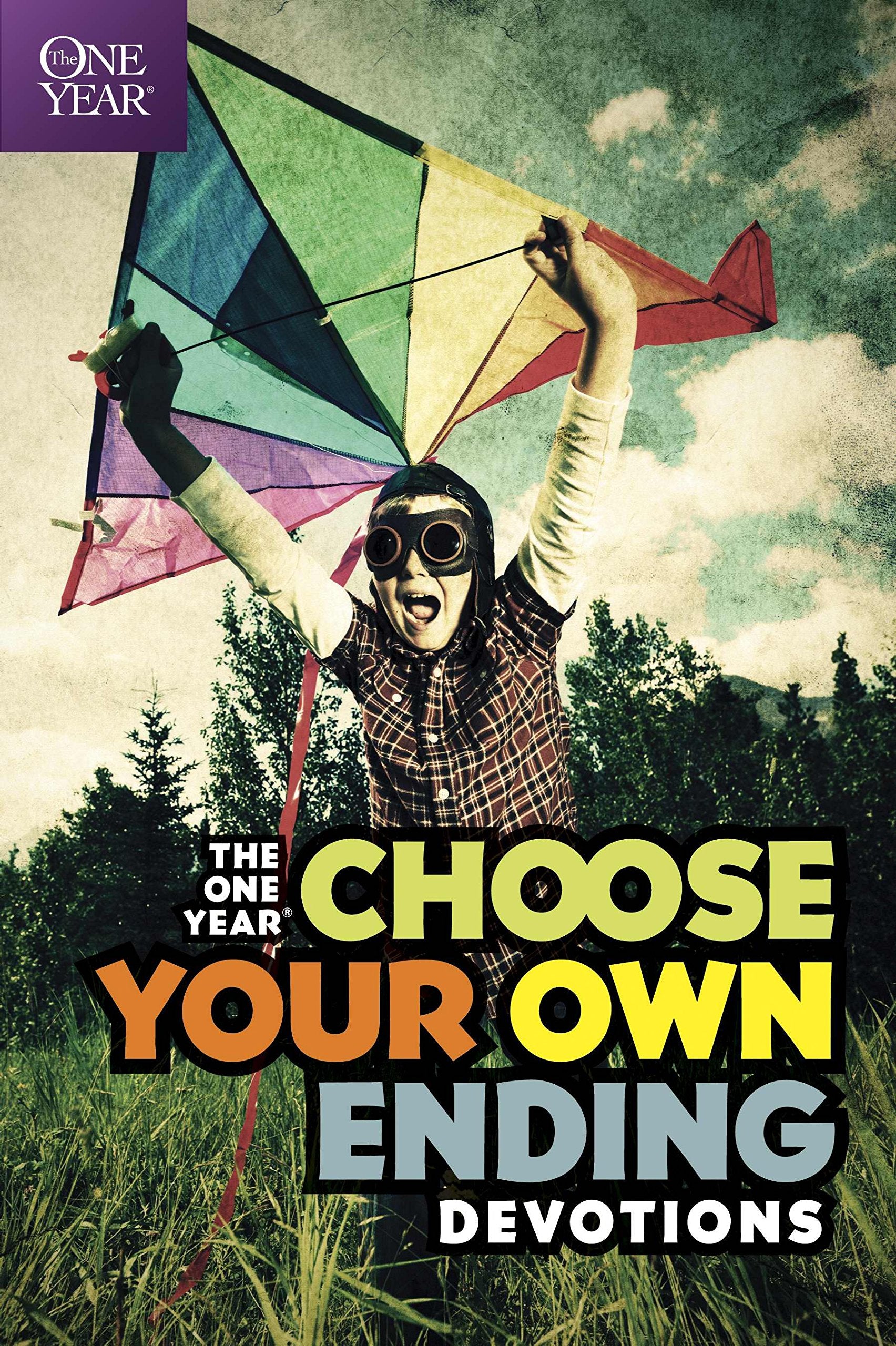 The One Year Choose Your Own Ending Devotions,Used