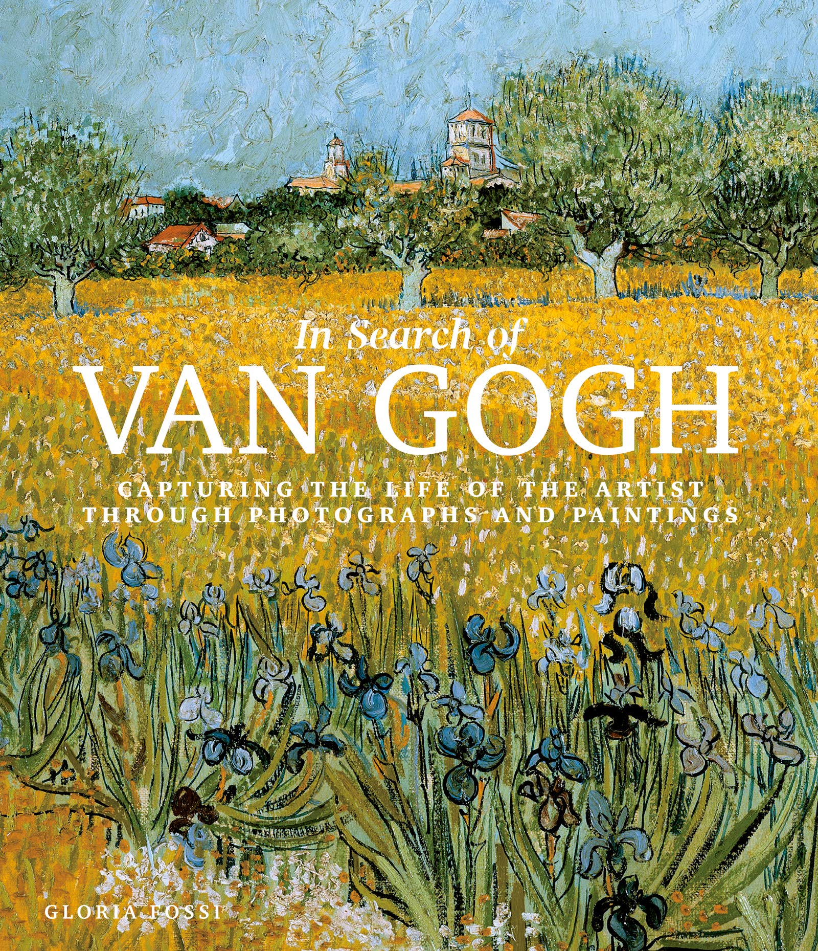In Search Of Van Gogh: Capturing The Life Of The Artist Through Photographs And Paintings,Used