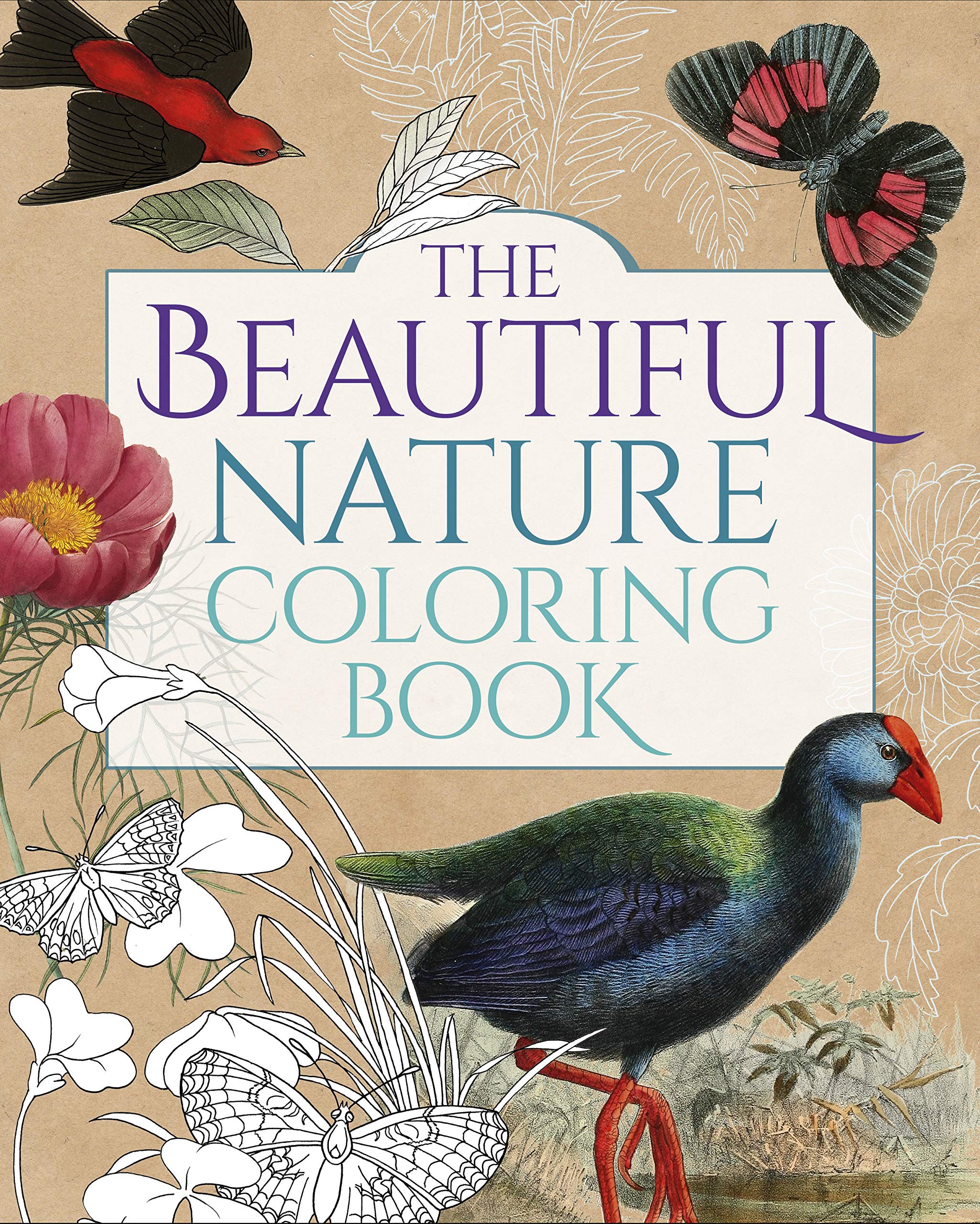 The Beautiful Nature Coloring Book,Used