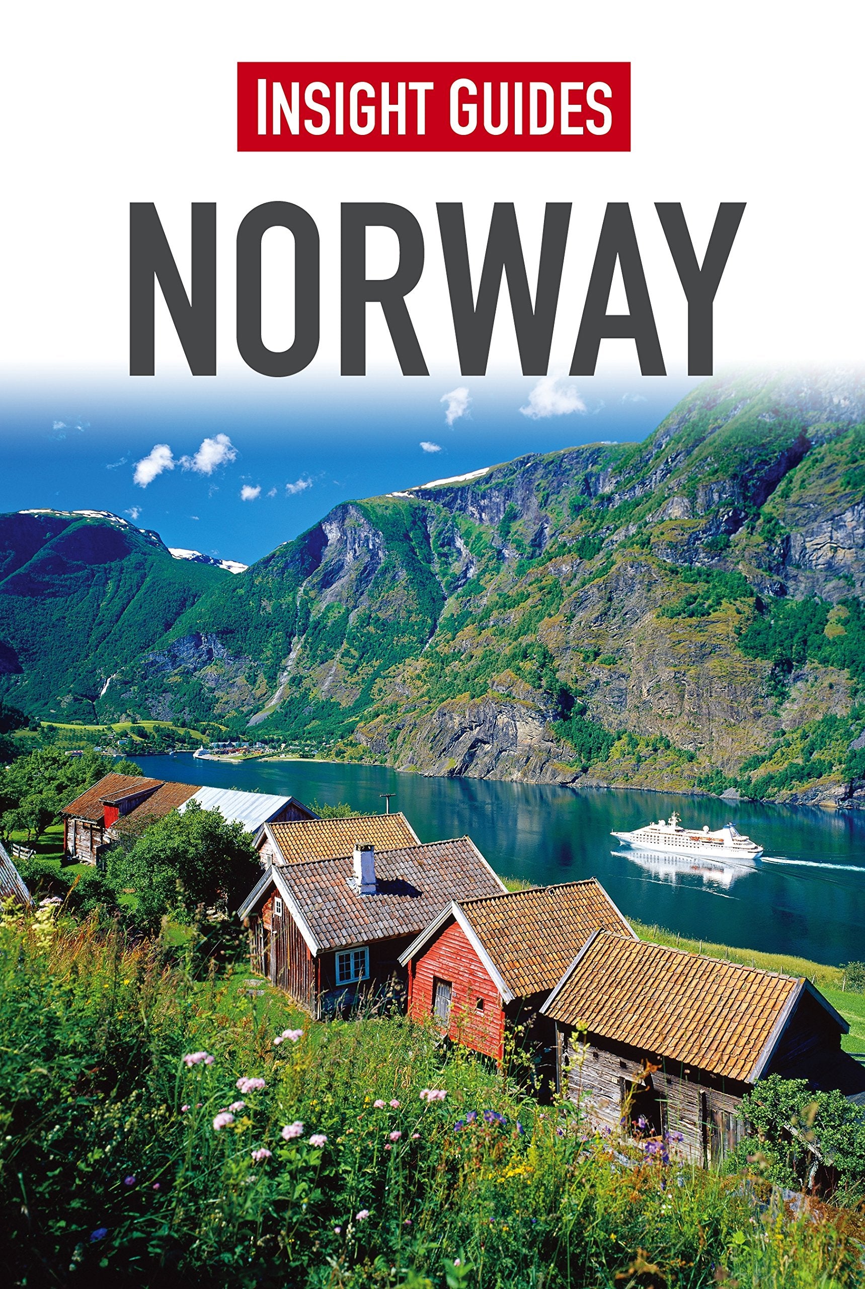 Insight Guides Norway (Insight Guides, 55),Used