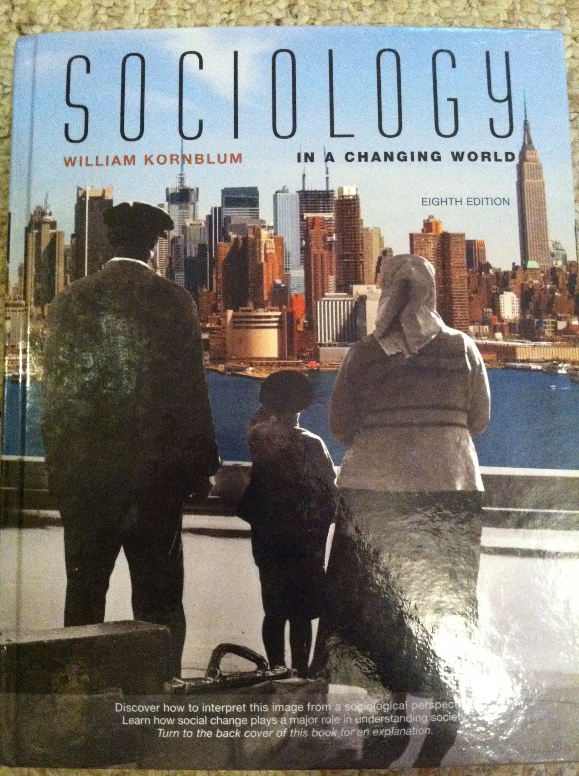 Sociology in a Changing World,Used