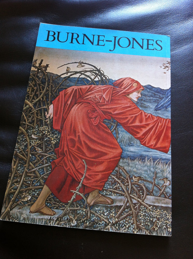BurneJones, all colour paperback,Used
