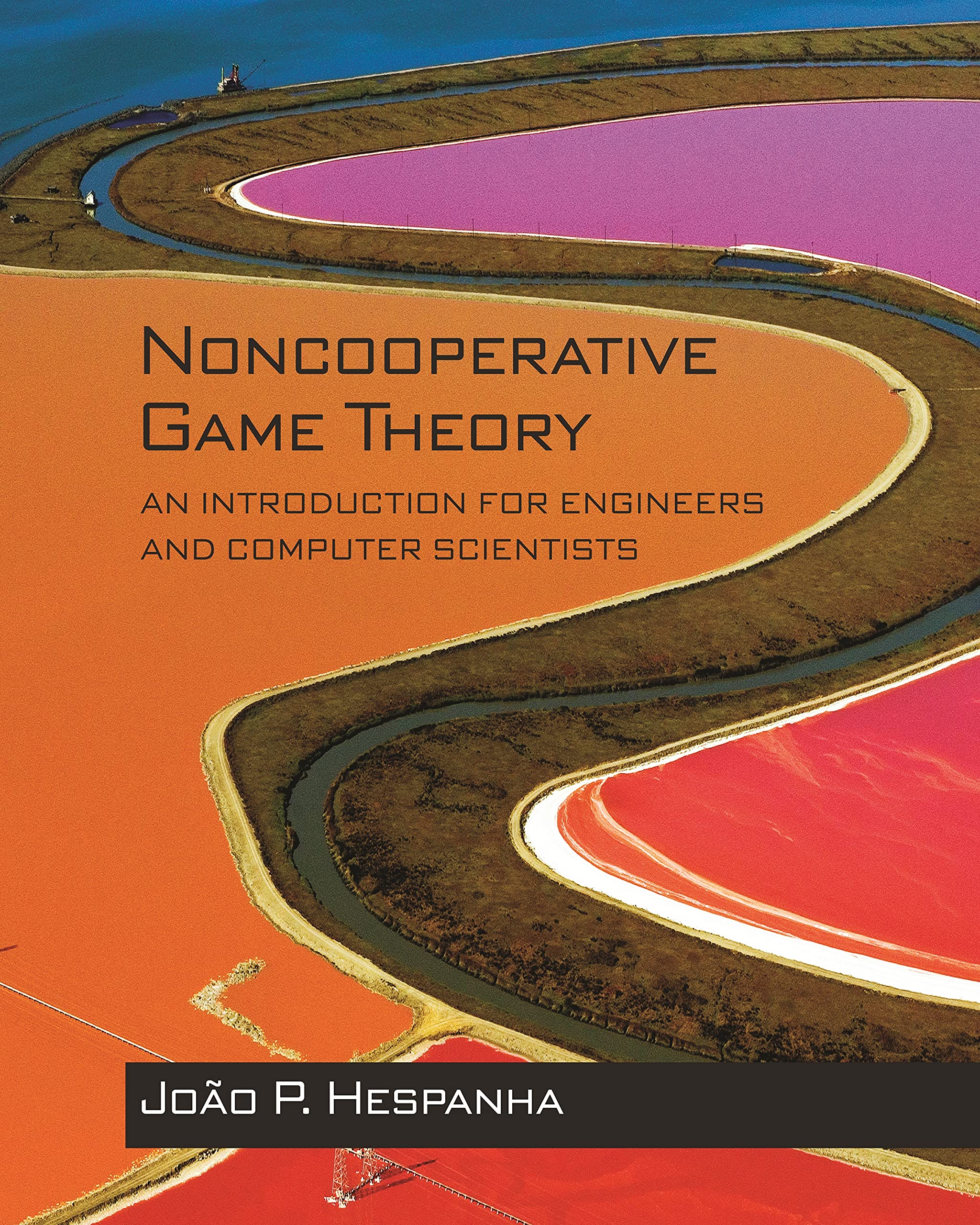 Noncooperative Game Theory: An Introduction for Engineers and Computer Scientists,Used