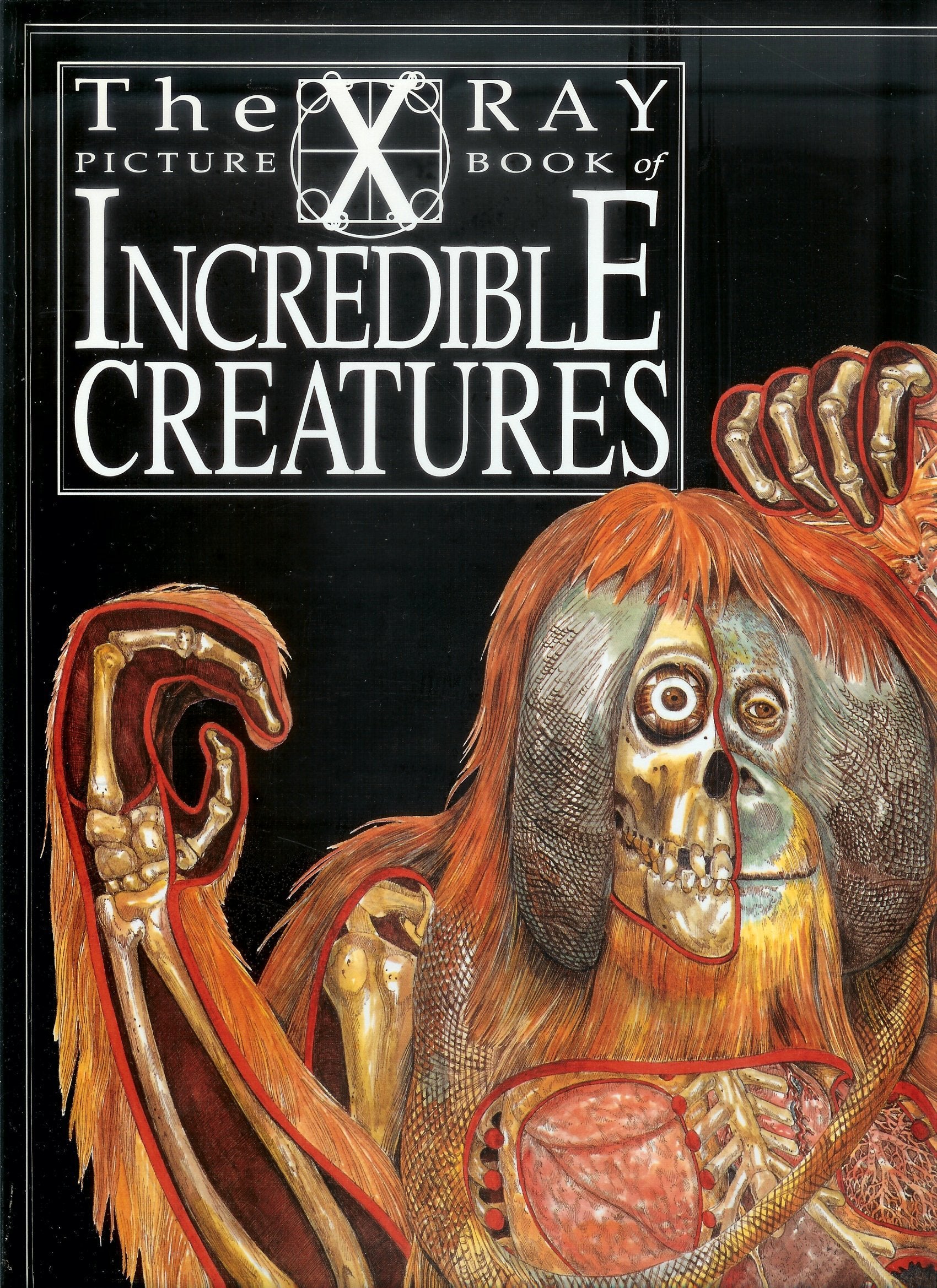 The X Ray Picture Book of Incredible Creatures,Used