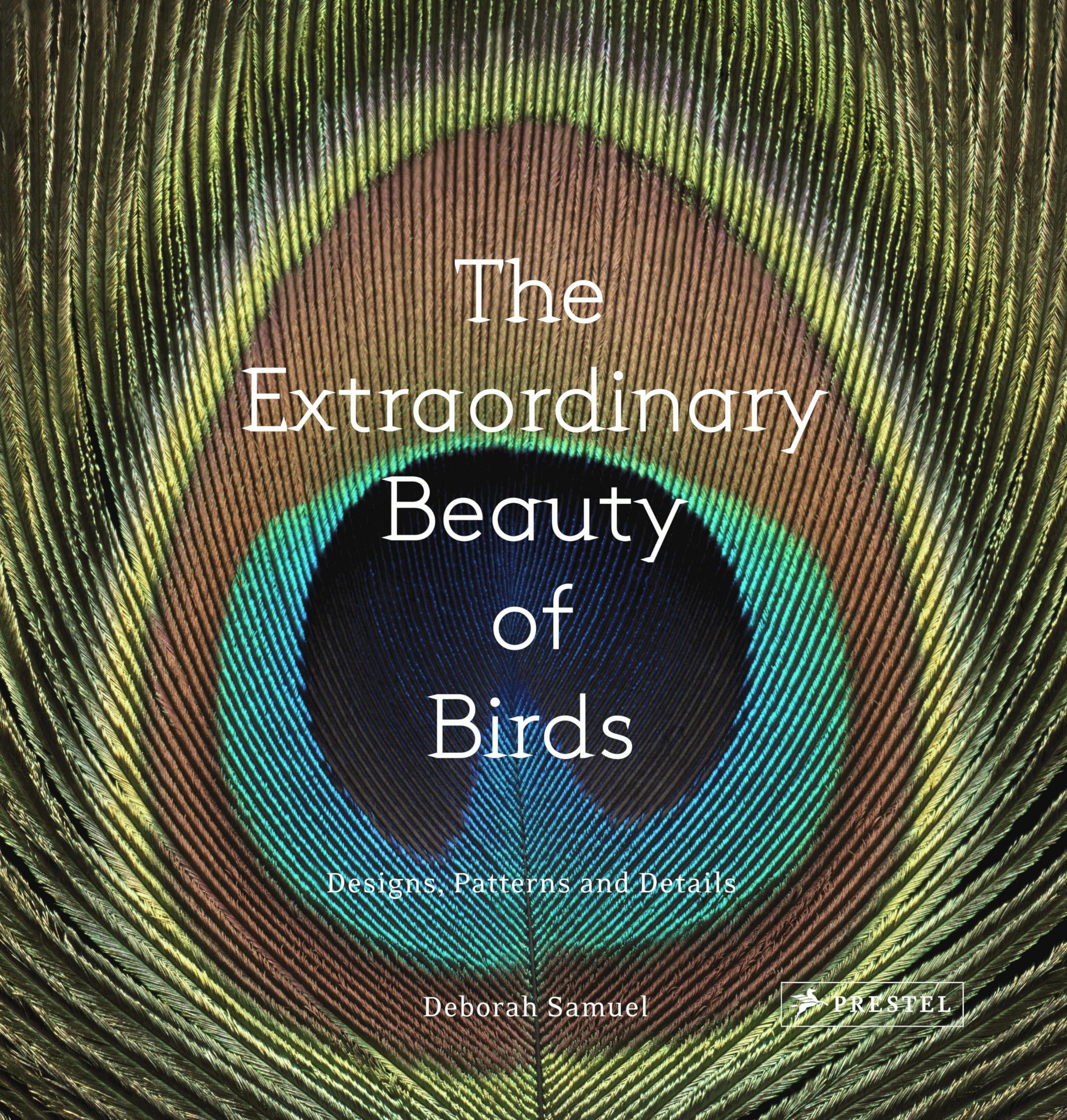 The Extraordinary Beauty of Birds: Designs, Patterns and Details,Used