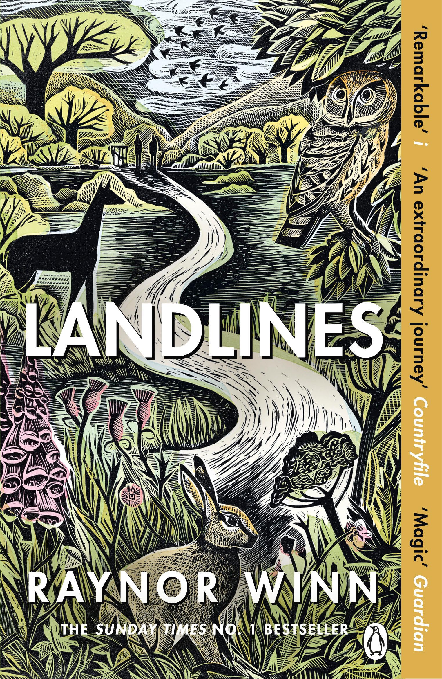 Landlines: The No 1 Sunday Times Bestseller About A Thousandmile Journey Across Britain From The Author Of The Salt Path