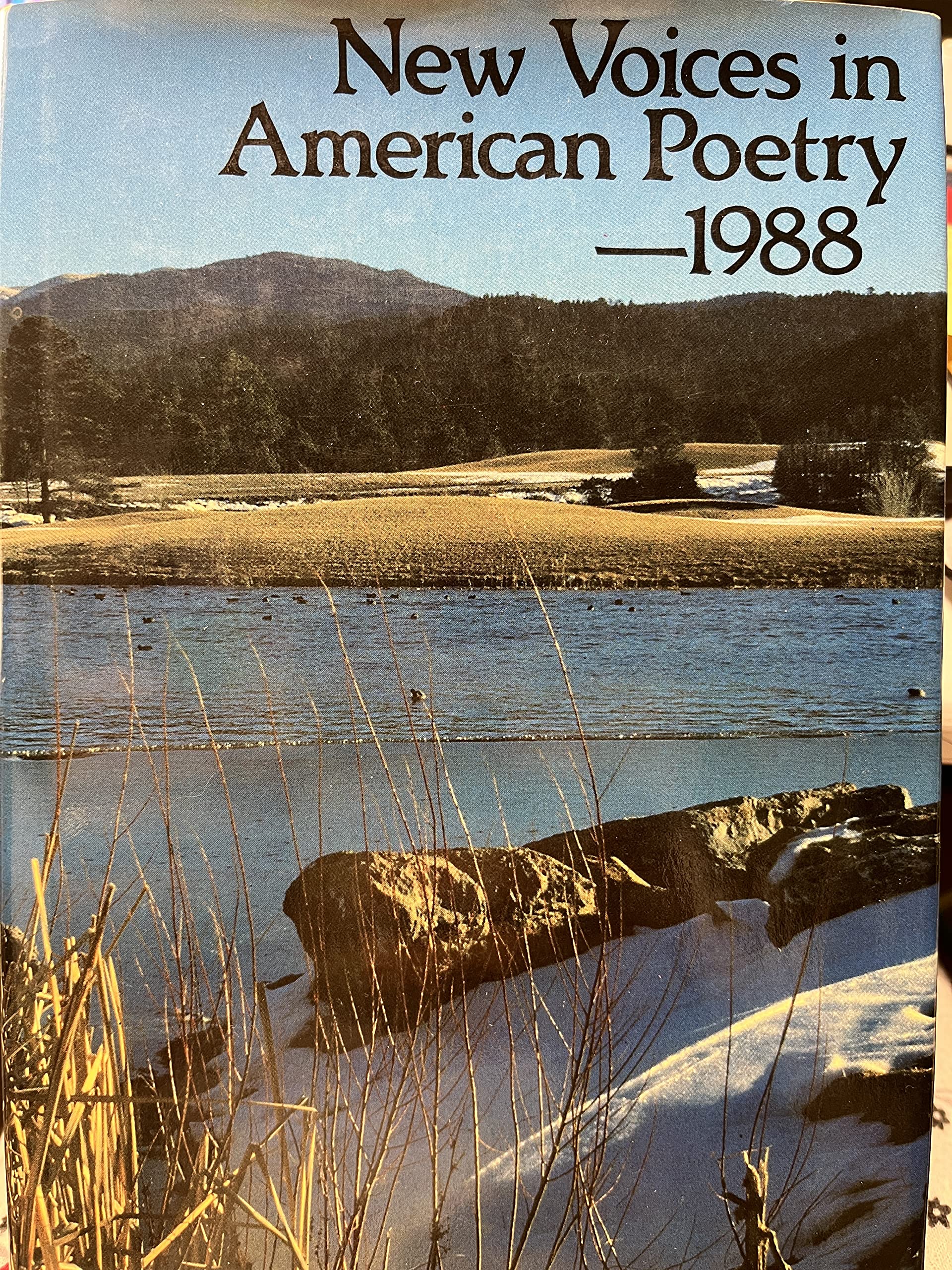 New Voices in American Poetry 1988,Used