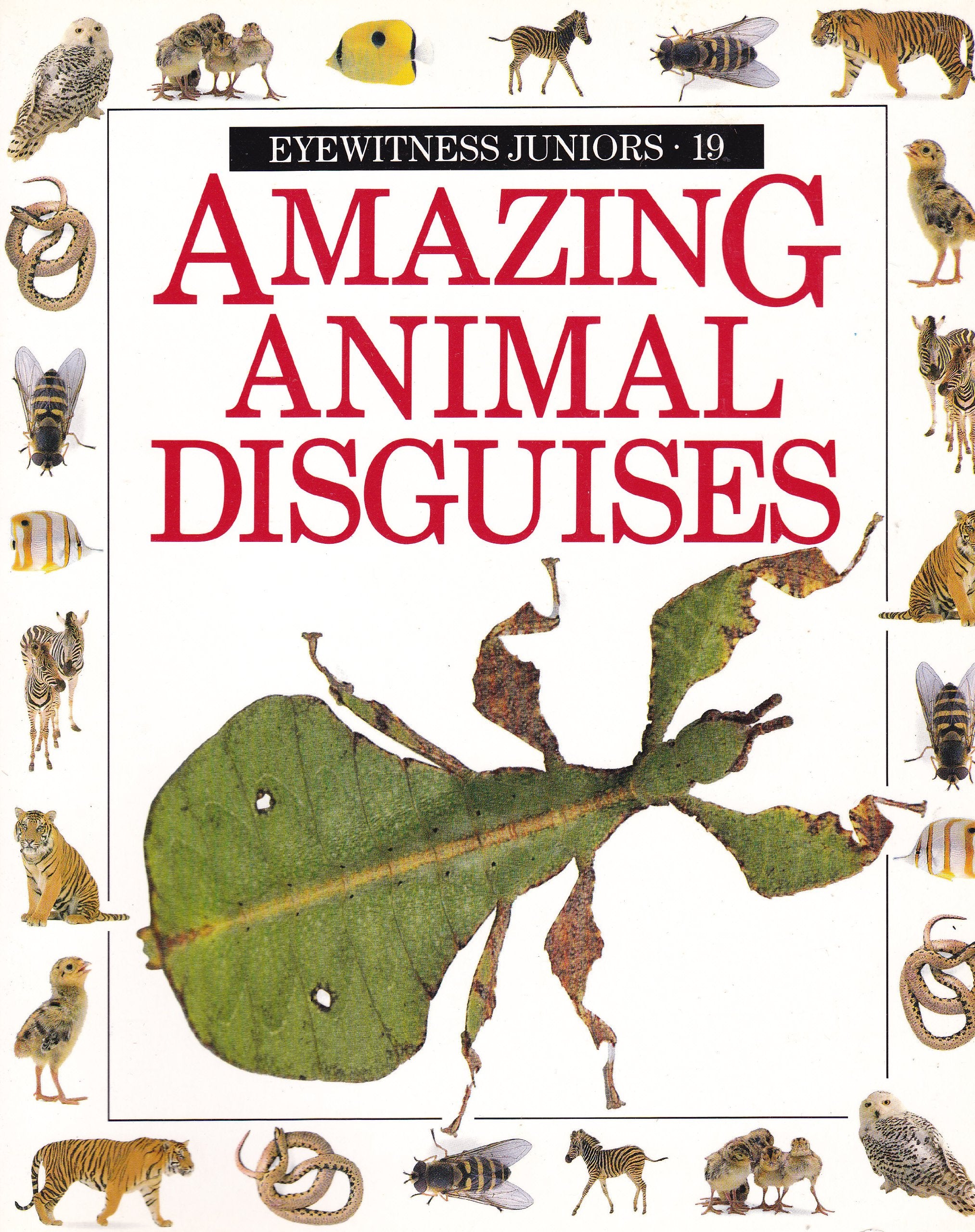Amazing Tropical Birds (Eyewitness Juniors),Used