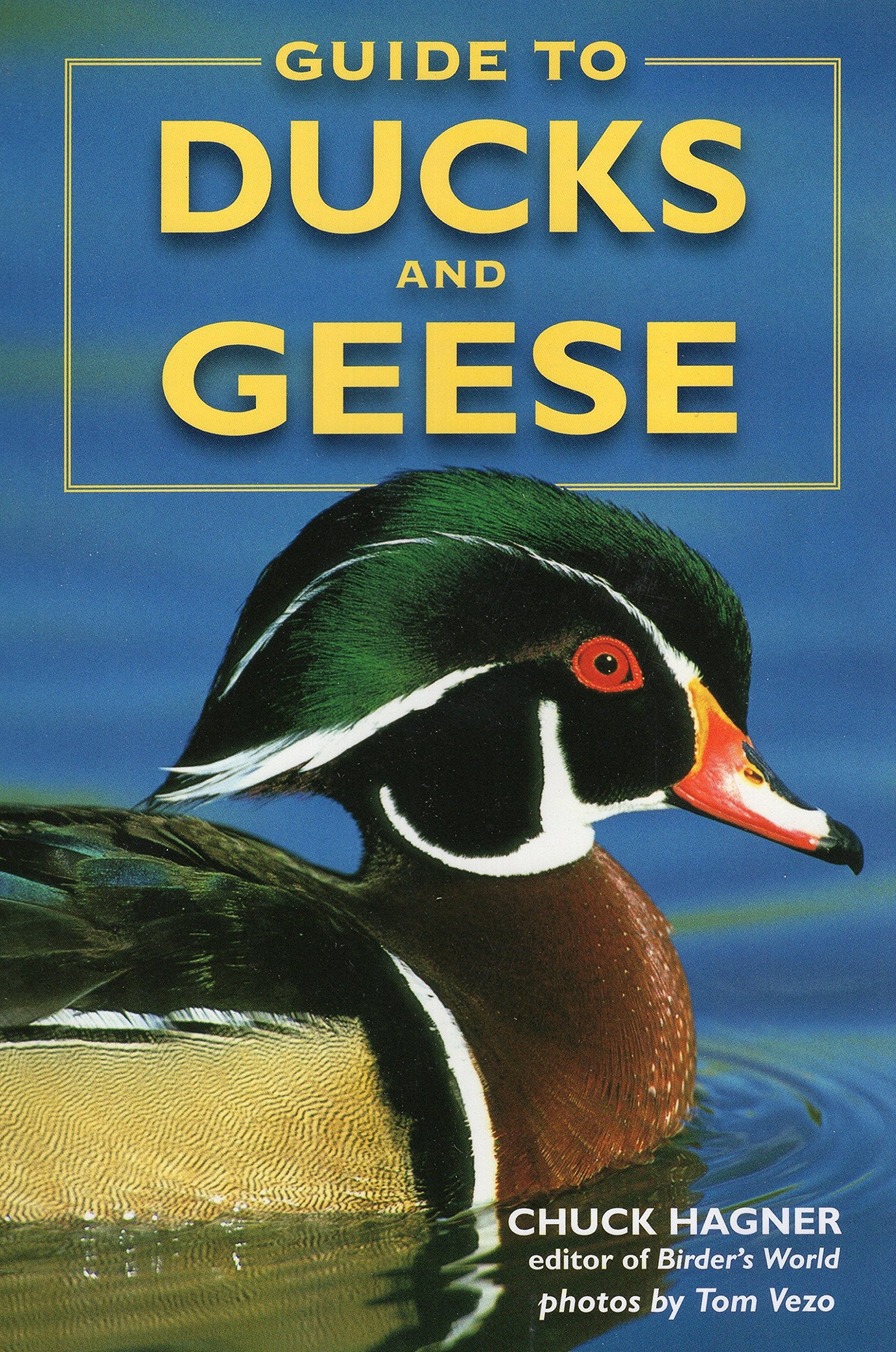 Guide To Ducks And Geese,Used