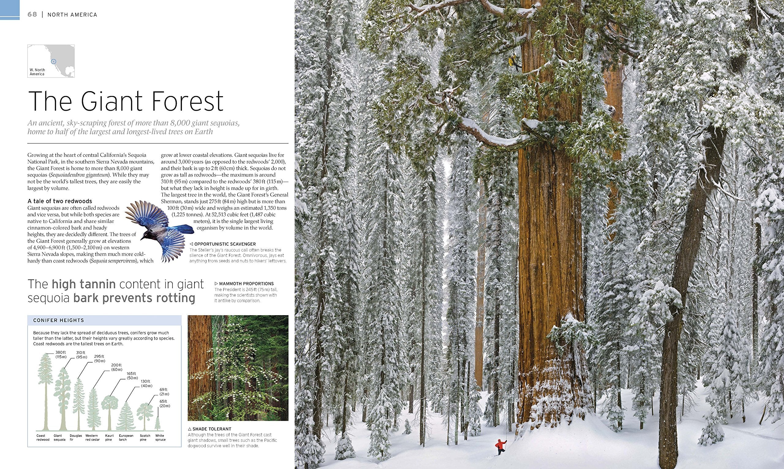 Natural Wonders of the World (DK Wonders of the World),New