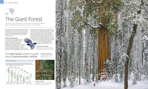 Natural Wonders of the World (DK Wonders of the World),New