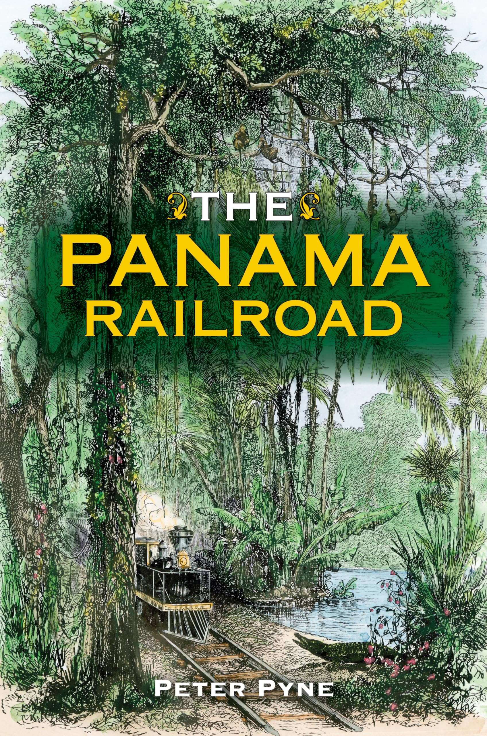 The Panama Railroad (Railroads Past and Present),Used