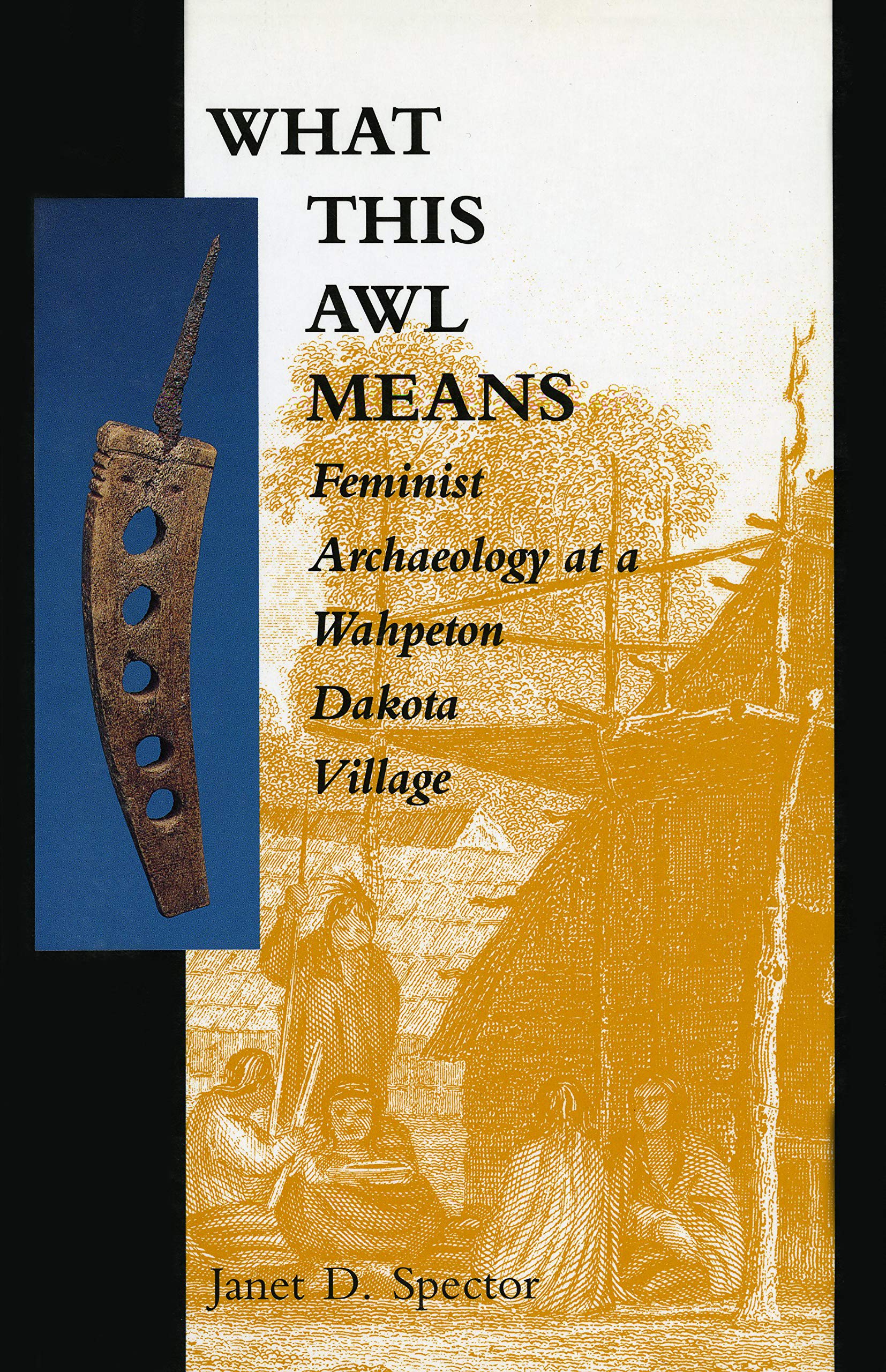 What This Awl Means: Feminist Archaeology at a Wahpeton Dakota Village,Used