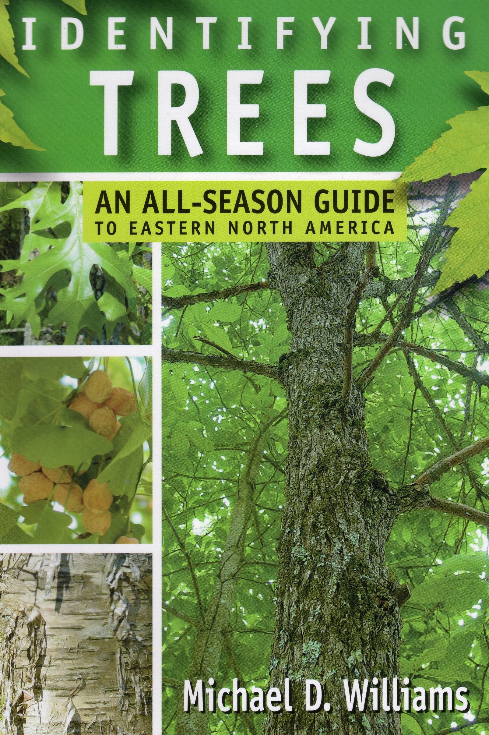 Identifying Trees: An Allseason Guide To Eastern North America,New