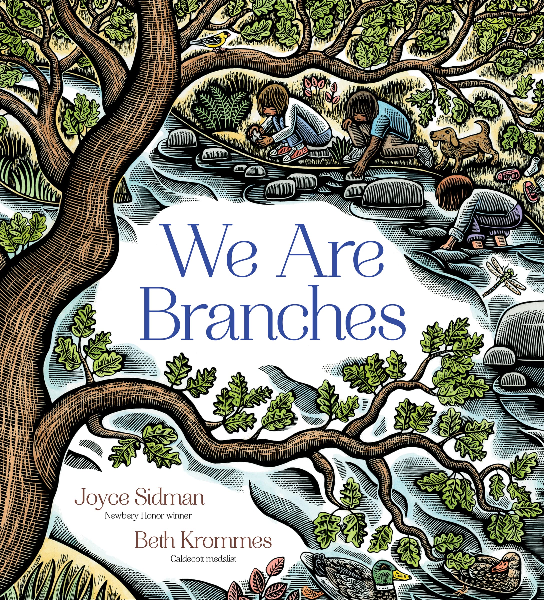 We Are Branches,Used