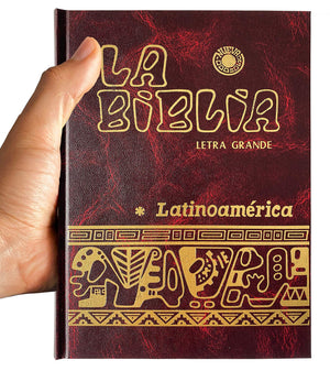 La Biblia Latinoamericana Letra Grande Cartone con Uneros Spanish Edition Assorted Colors,Used