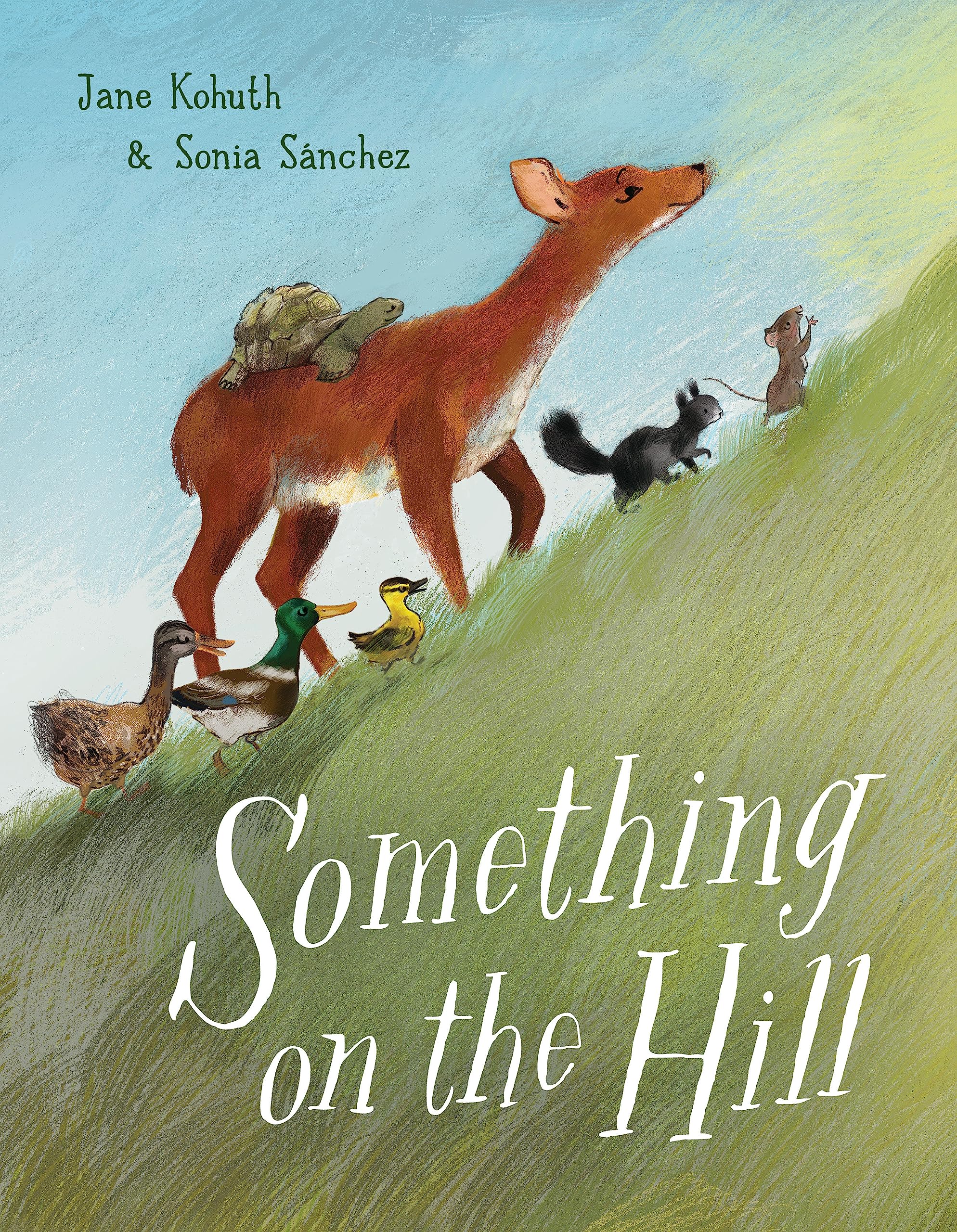 Something On The Hill,Used