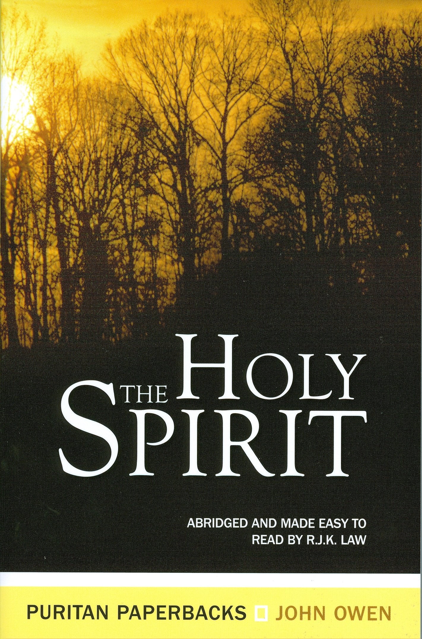 The Holy Spirit: The Treasures (Treasures of John Owen),Used