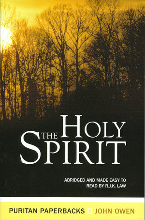 The Holy Spirit: The Treasures (Treasures of John Owen),Used