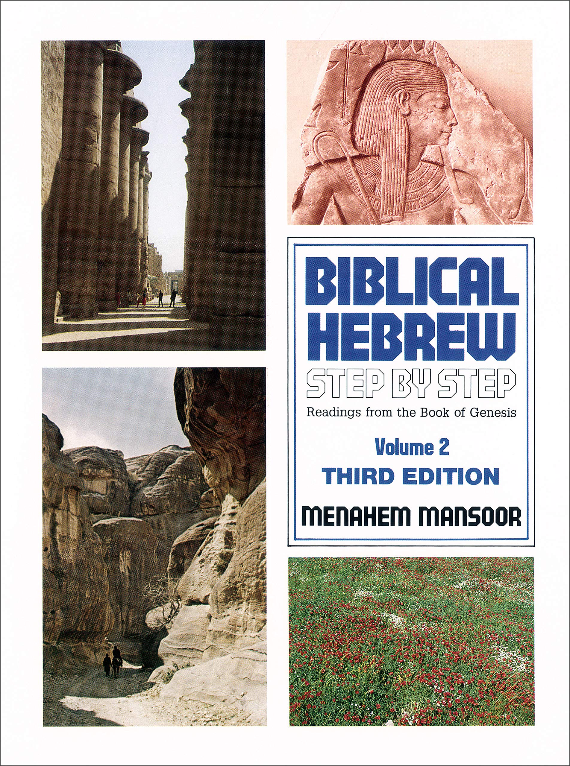 Biblical Hebrew Step by Step, Volume 2: Readings from the Book of Genesis,Used