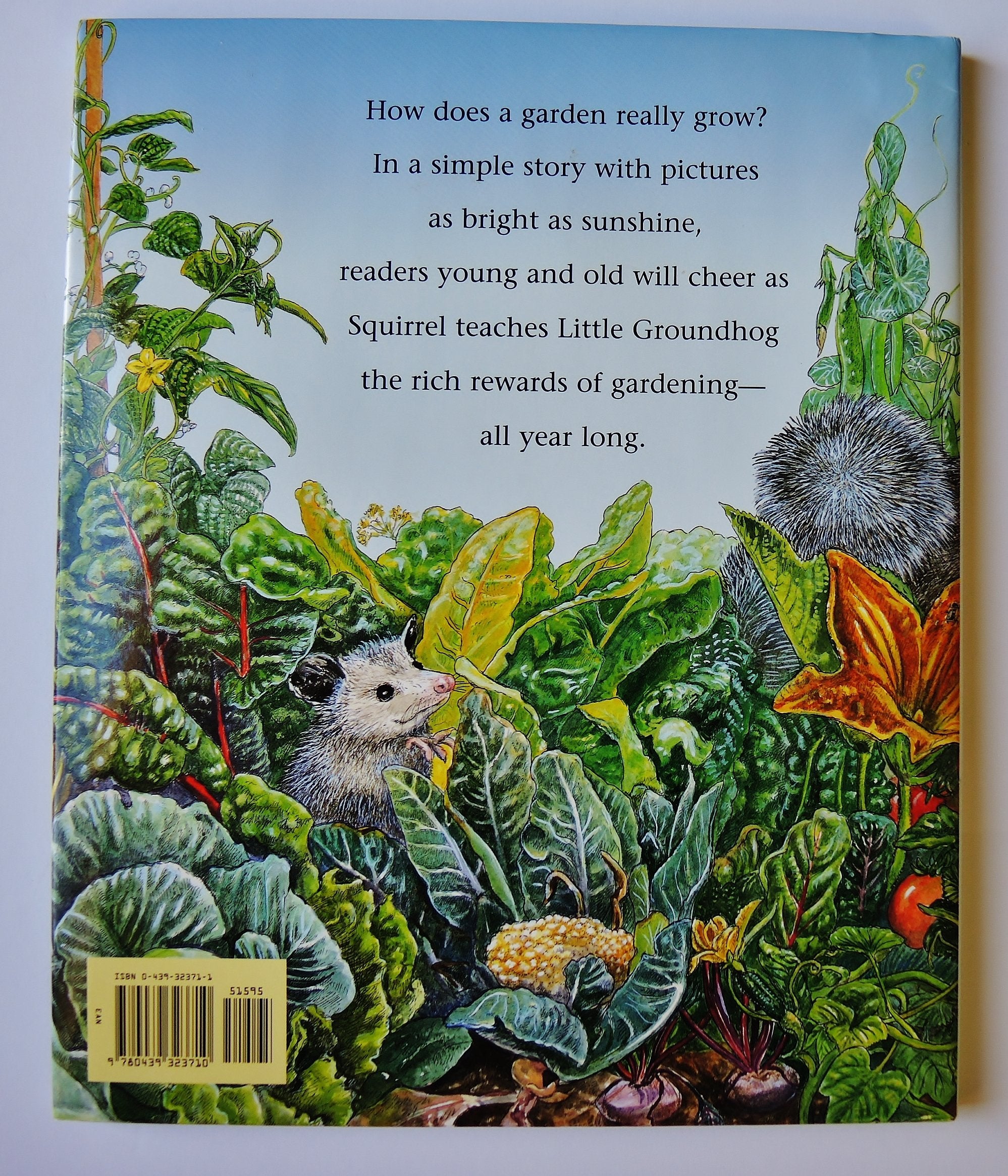 How Groundhog s Garden Grew