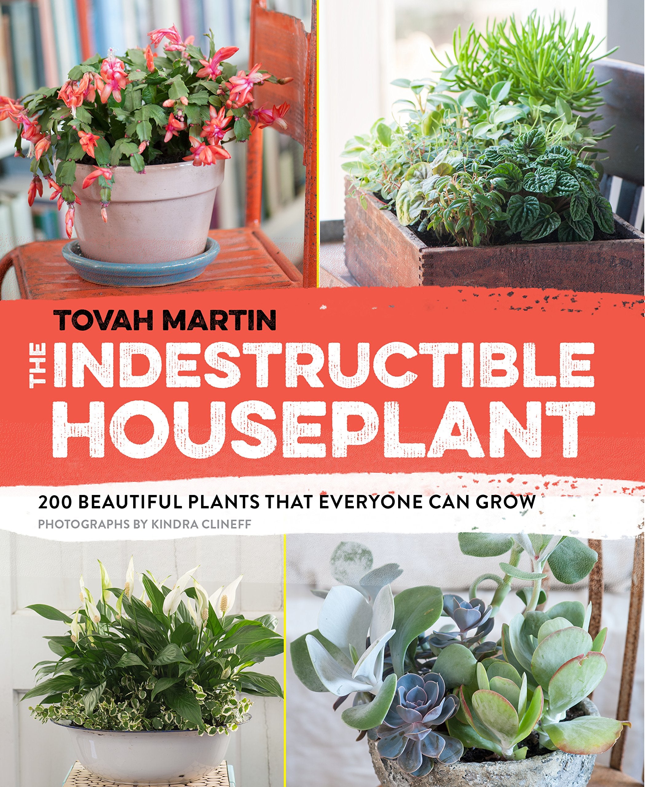 The Indestructible Houseplant: 200 Beautiful Plants that Everyone Can Grow,Used