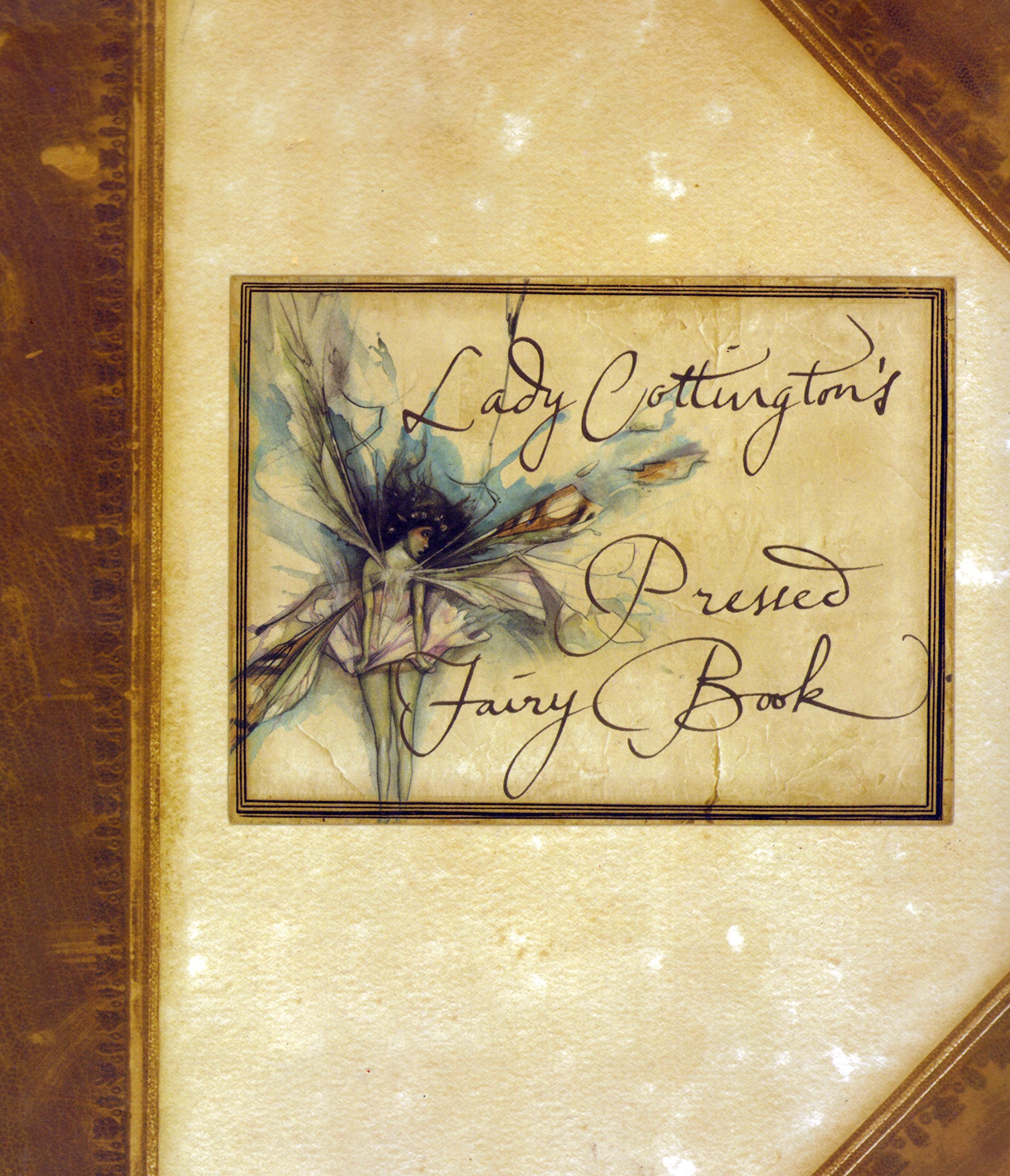 Lady Cottington'S Pressed Fairy Book