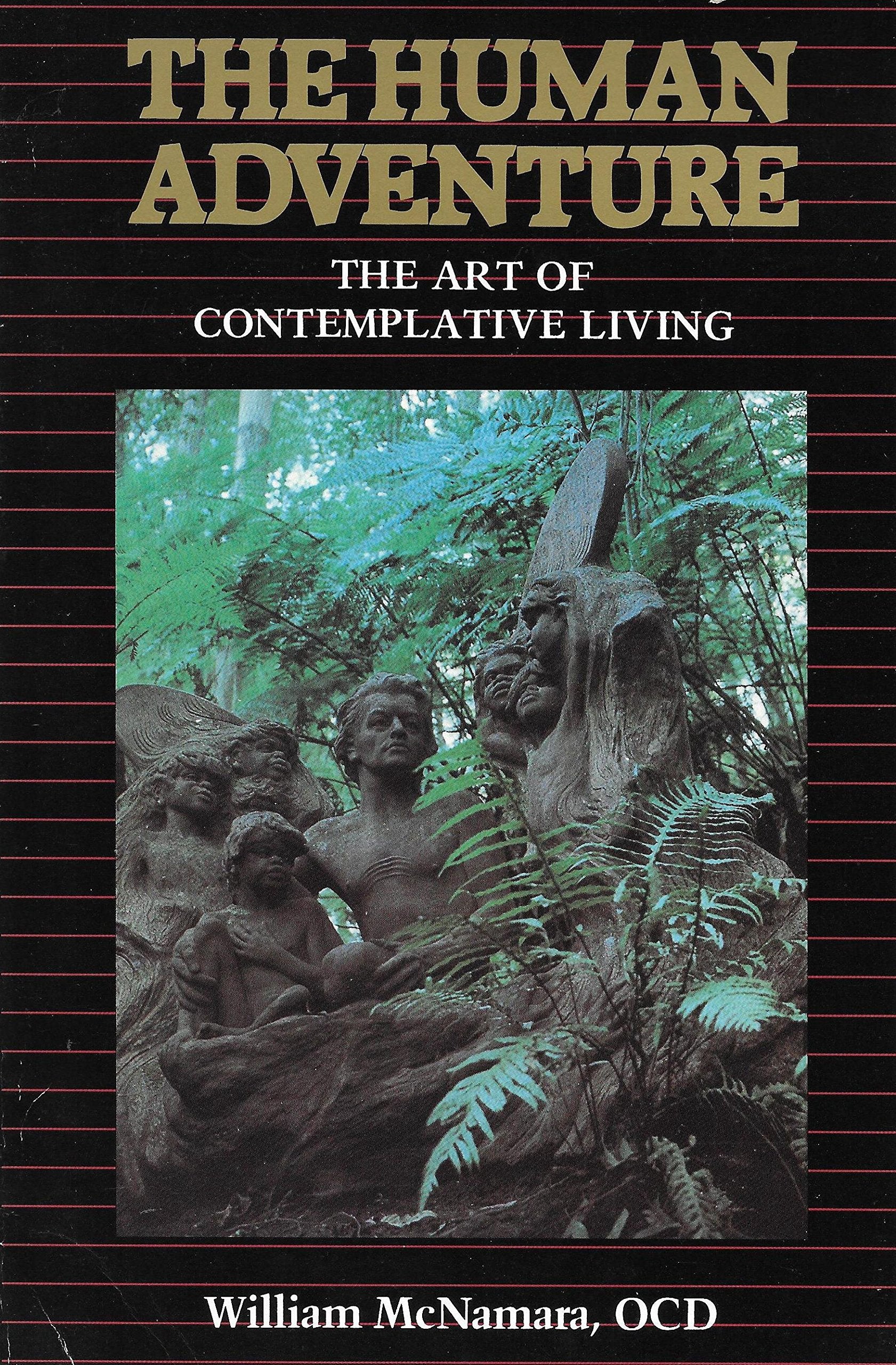 The Human Adventure: Contemplation for Everyman,Used