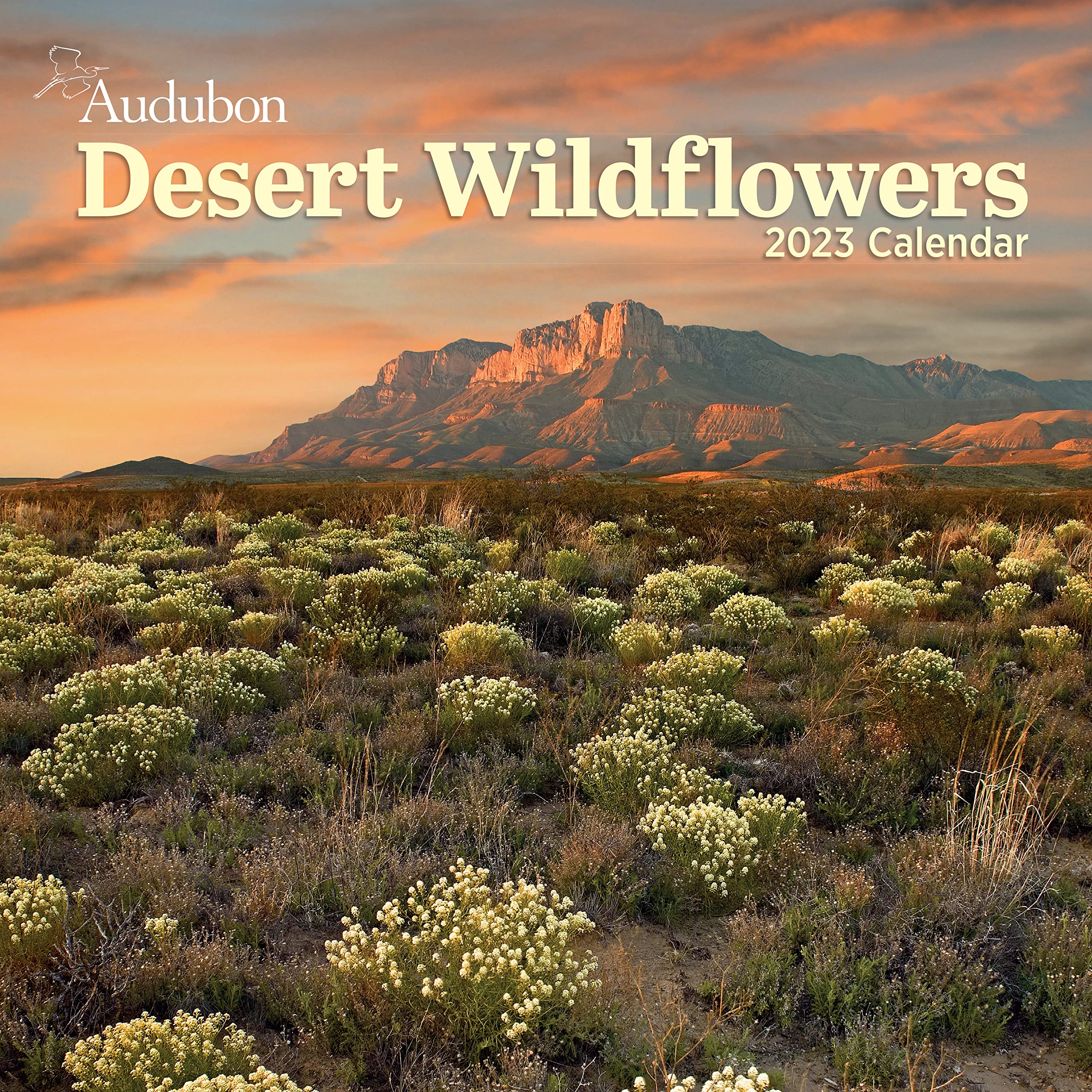 Audubon Desert Wildflowers Wall Calendar 2023: A Visual Delight For Nature Lovers And Gardeners Alike