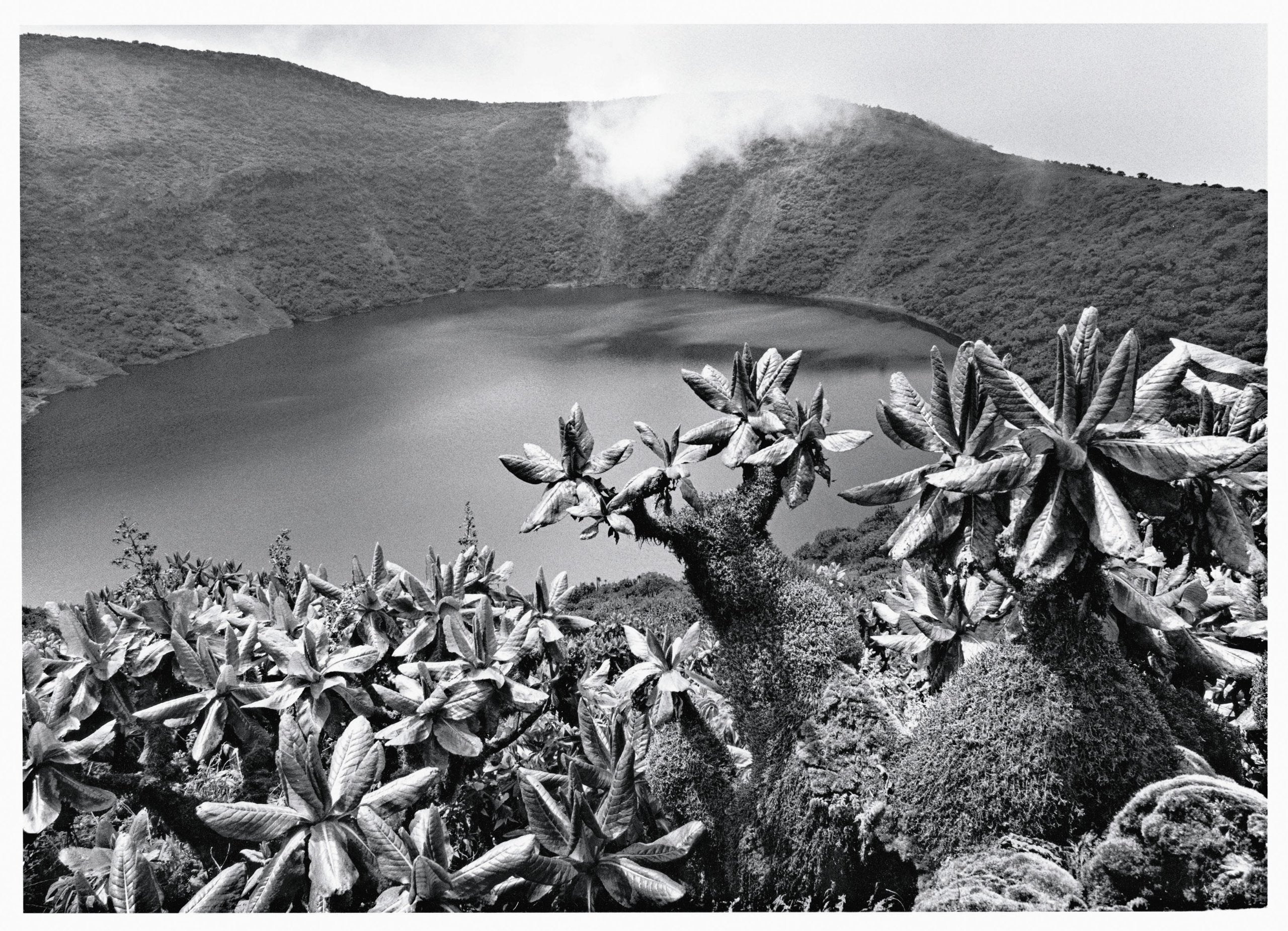 Africa: Sabastiao Salgado,Used
