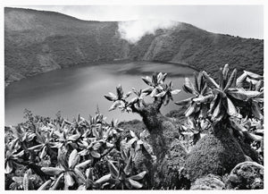 Africa: Sabastiao Salgado,Used