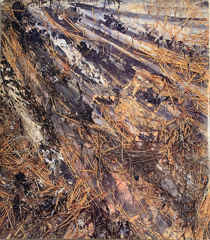 Anselm Kiefer,Used