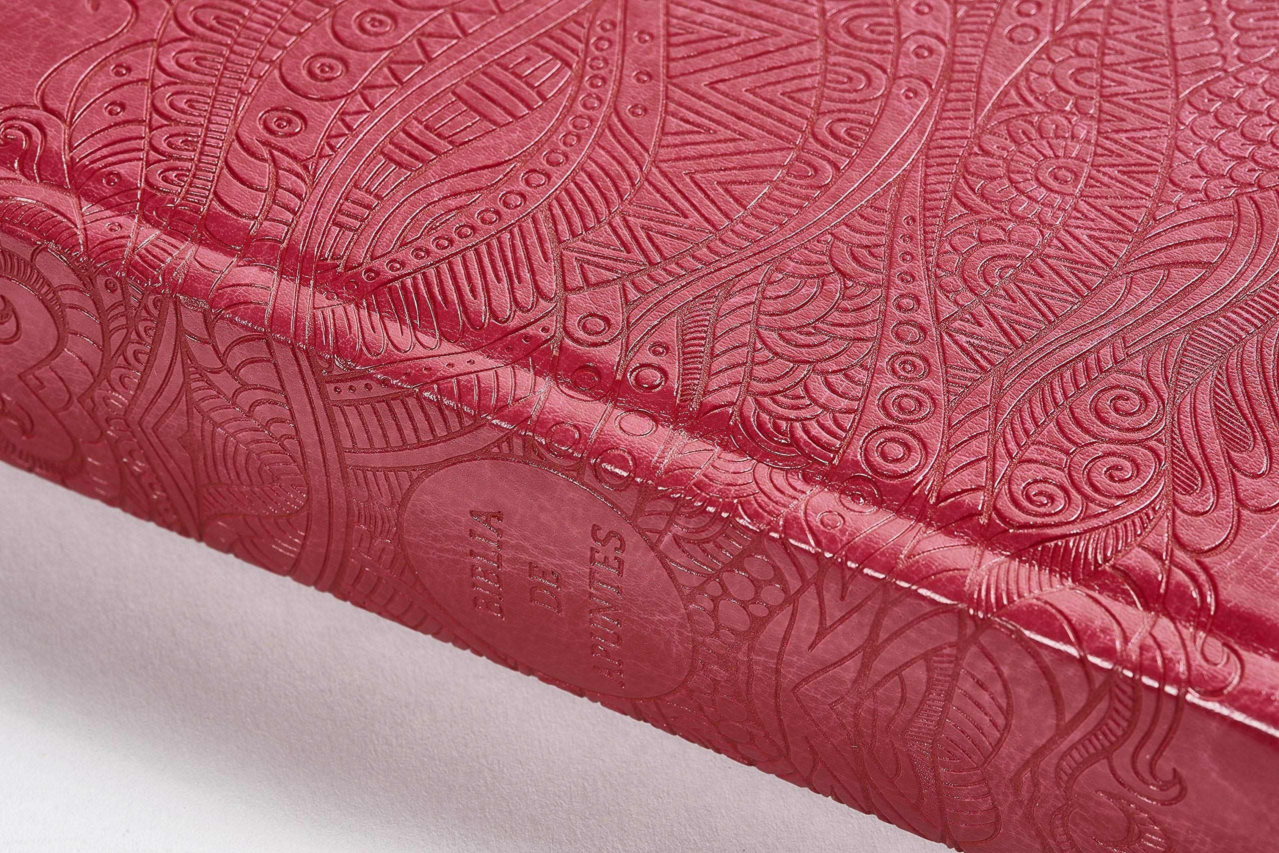 Biblia Reina Valera 1960 de Apuntes, Edicin ilustrada. Smil piel, rosado / Illustrators NoteTaking Bible RVR 1960. LeatherTo,Used