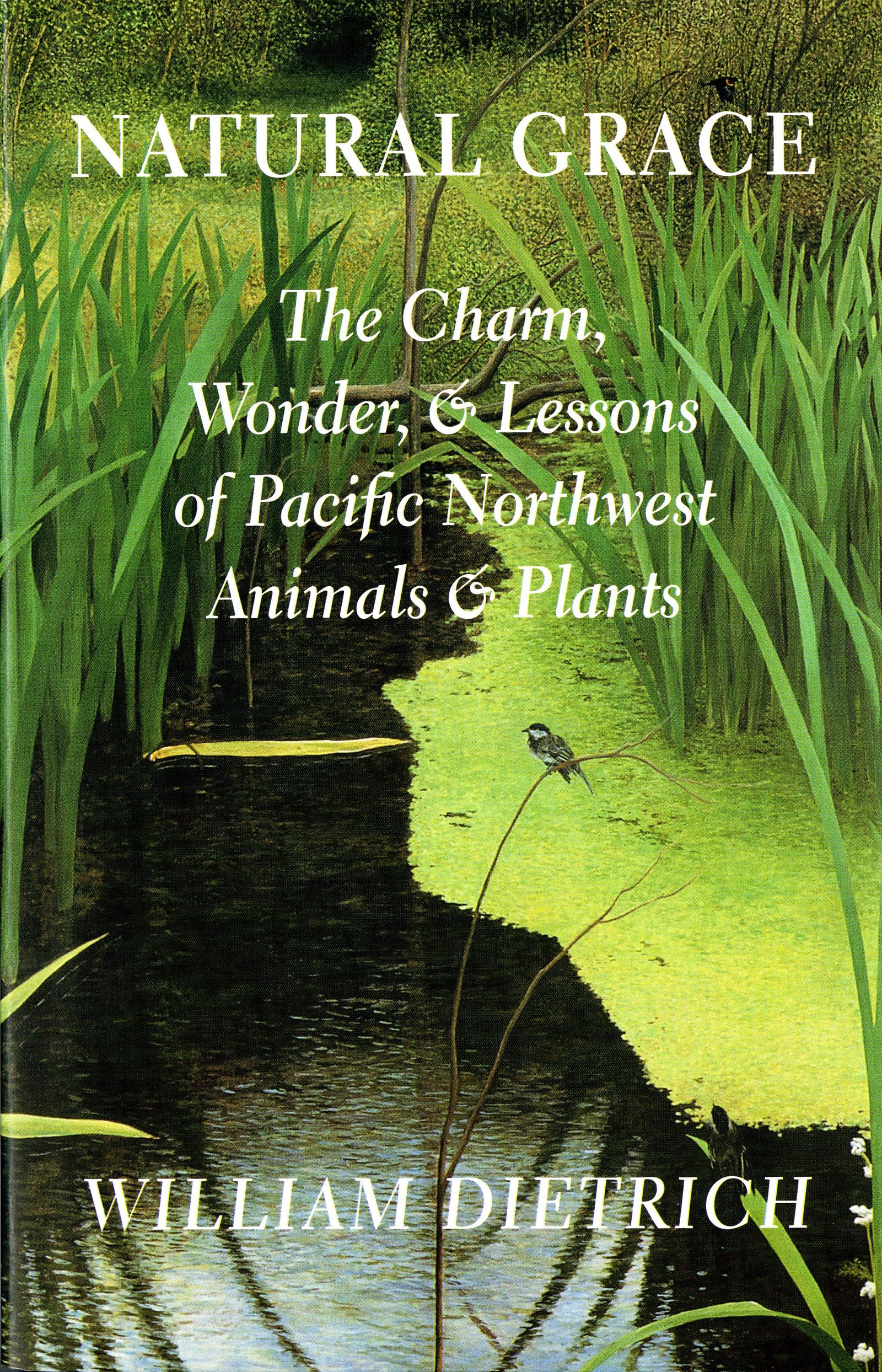 Natural Grace: The Charm, Wonder, and Lessons of Pacific Northwest Animals and Plants,Used