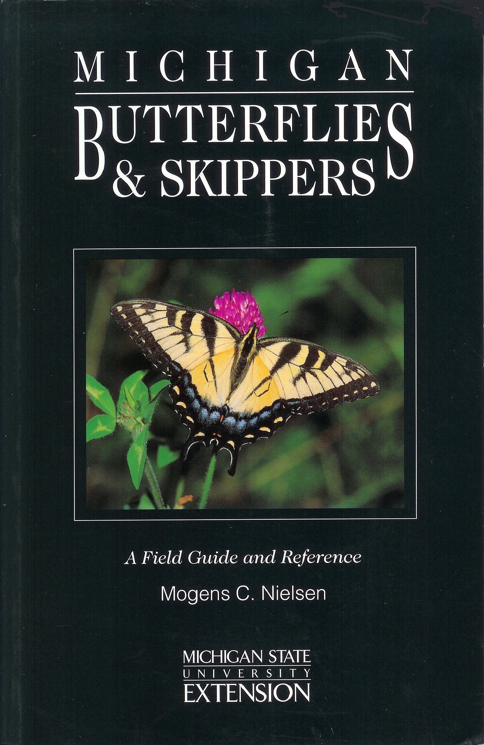 Michigan Butterflies and Skippers: A Field Guide and Reference