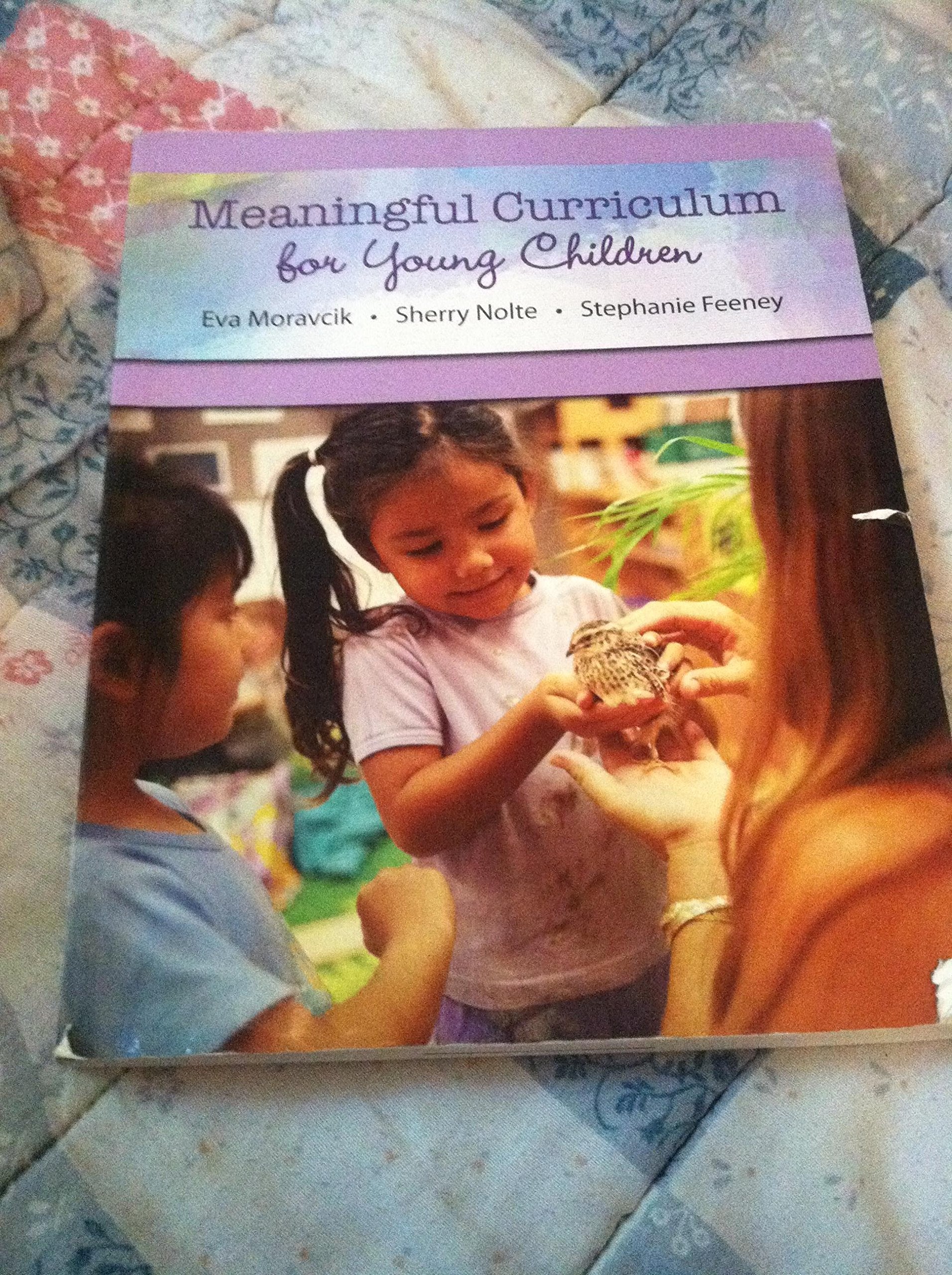 Meaningful Curriculum For Young Children,New