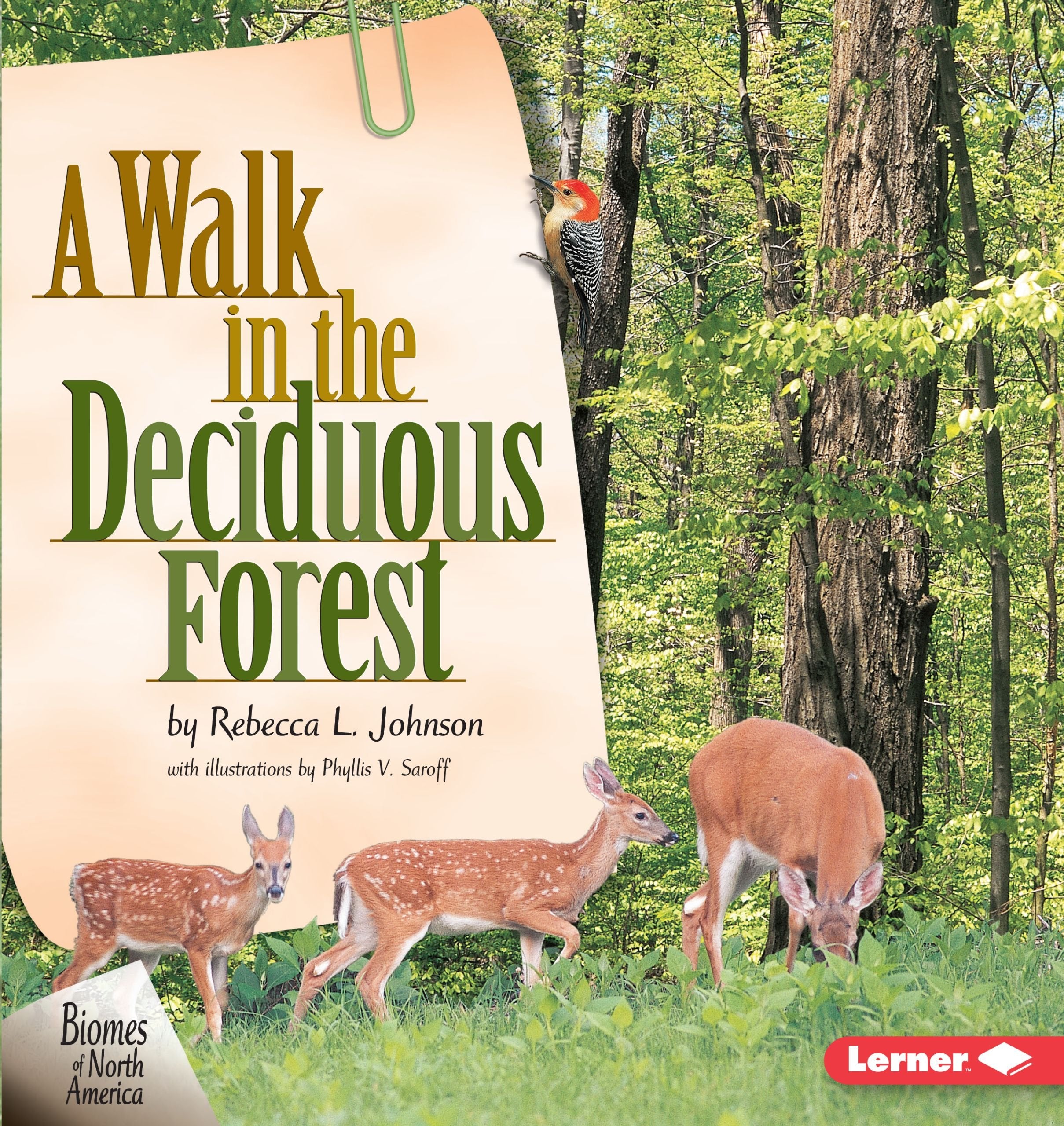 A Walk in the Deciduous Forest (Biomes of North America),Used