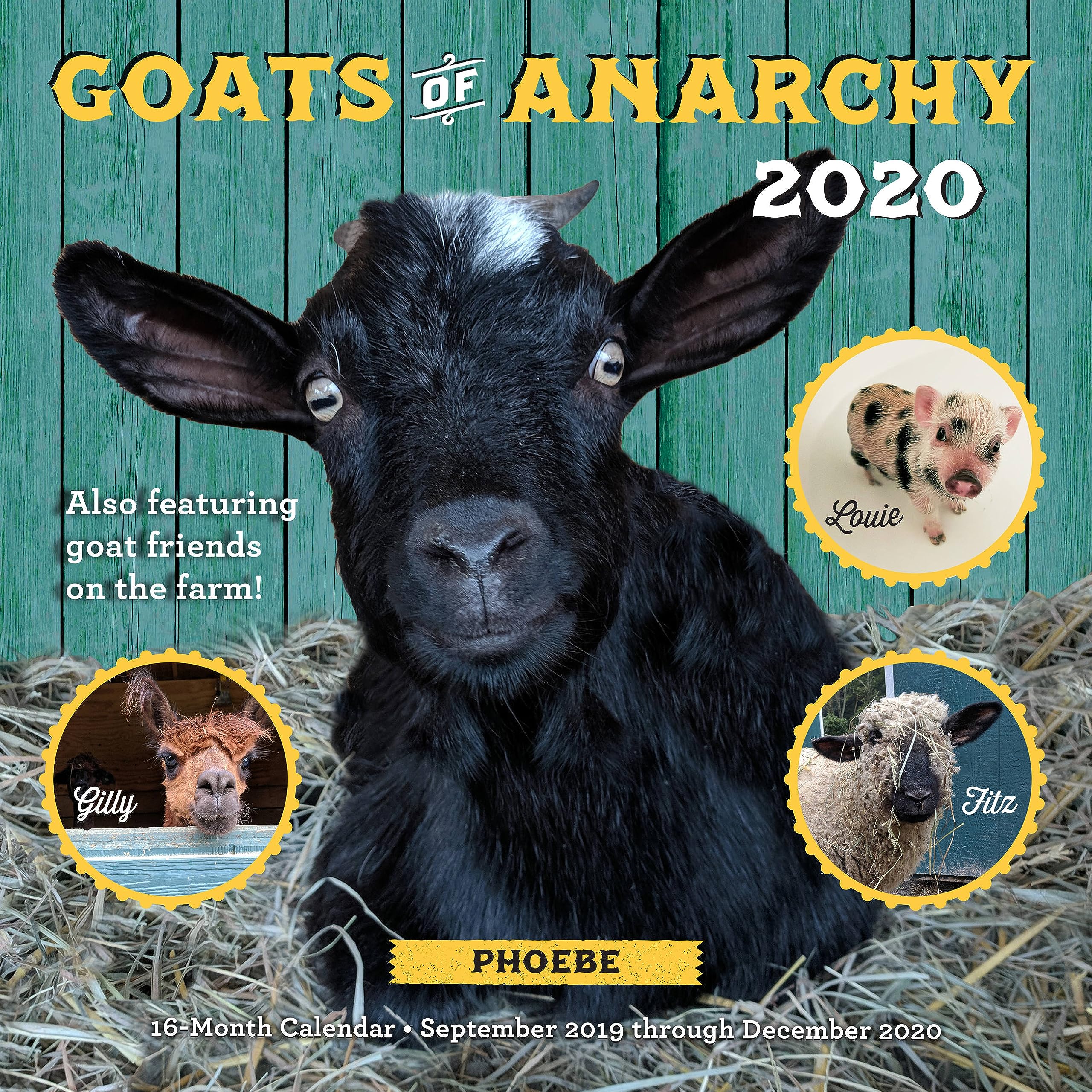Goats Of Anarchy 2020: 16 Month Calendar September 2019 Through December 2020