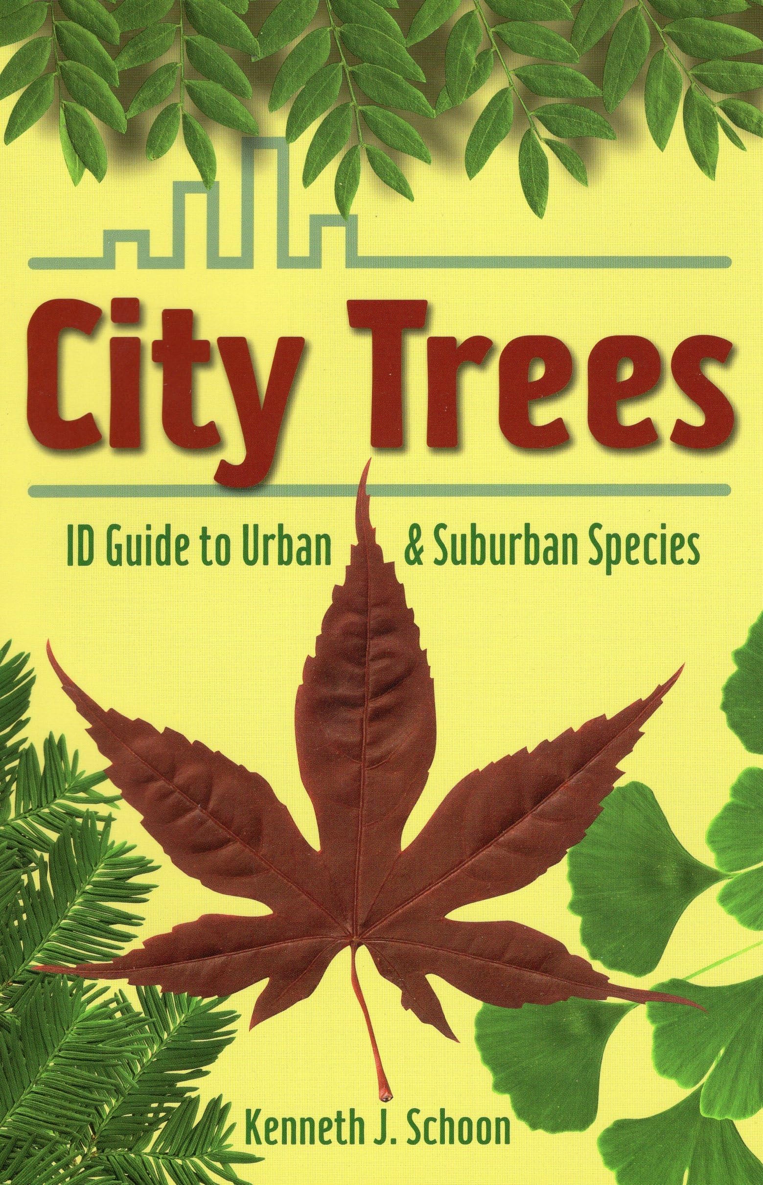 City Trees: Id Guide To Urban & Suburban Species,Used