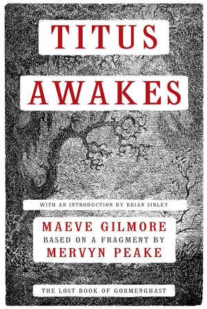 Titus Awakes: A Novel,Used