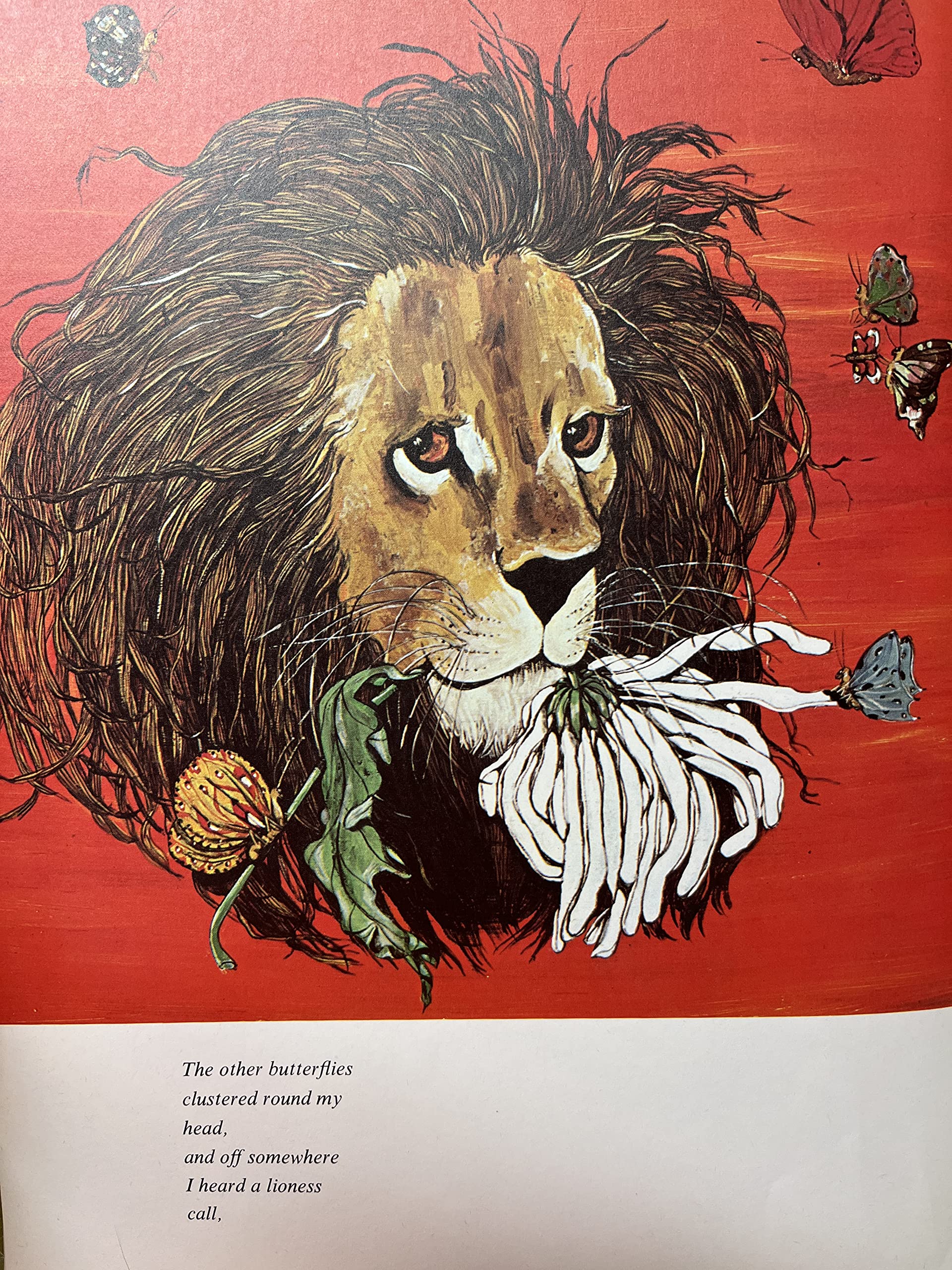 Lion And Blue,New