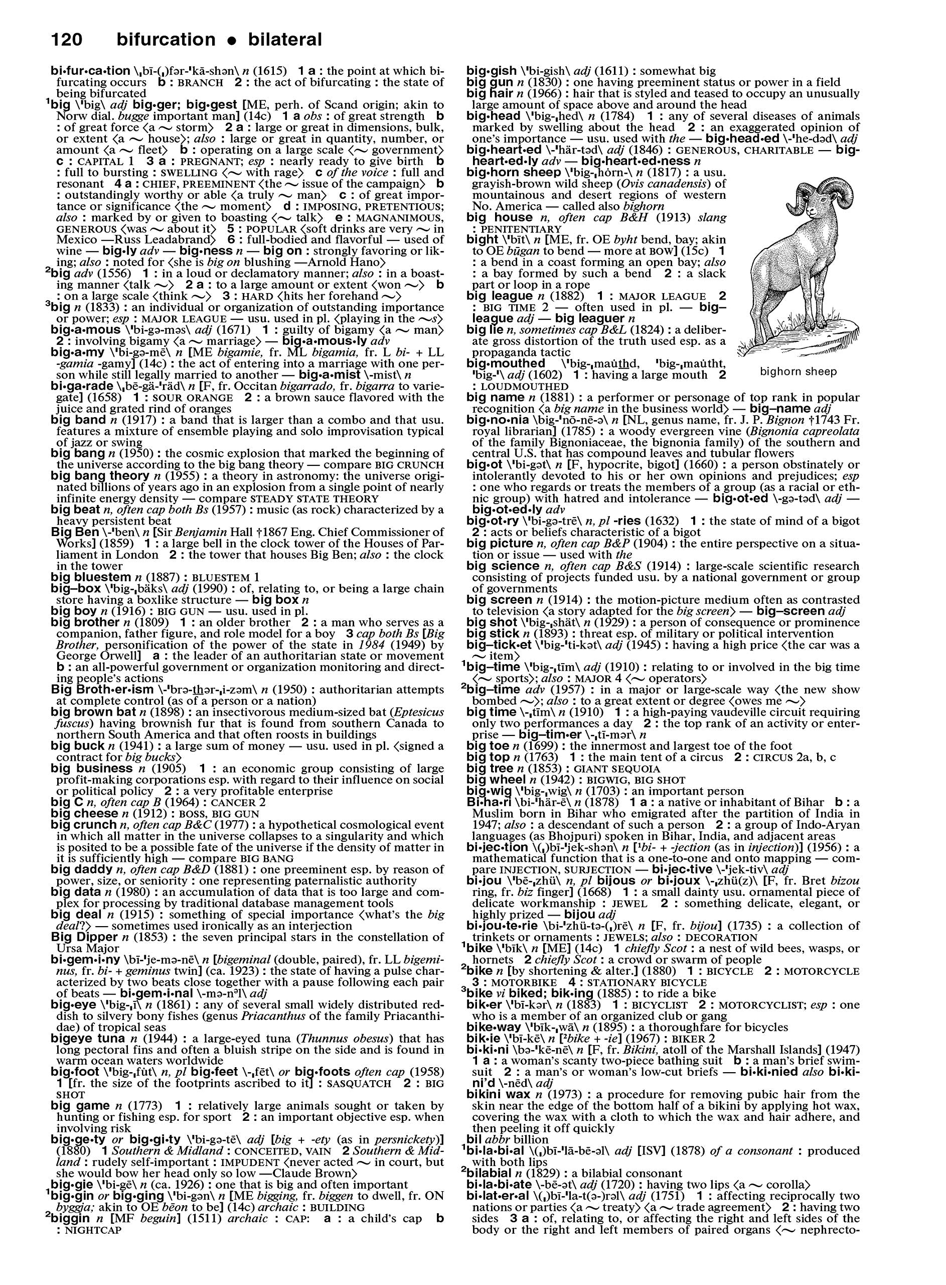 Merriam-Webster Collegiate Dictionary, 11th Edition, Jacketed Hardcover, Indexed, Model 8095