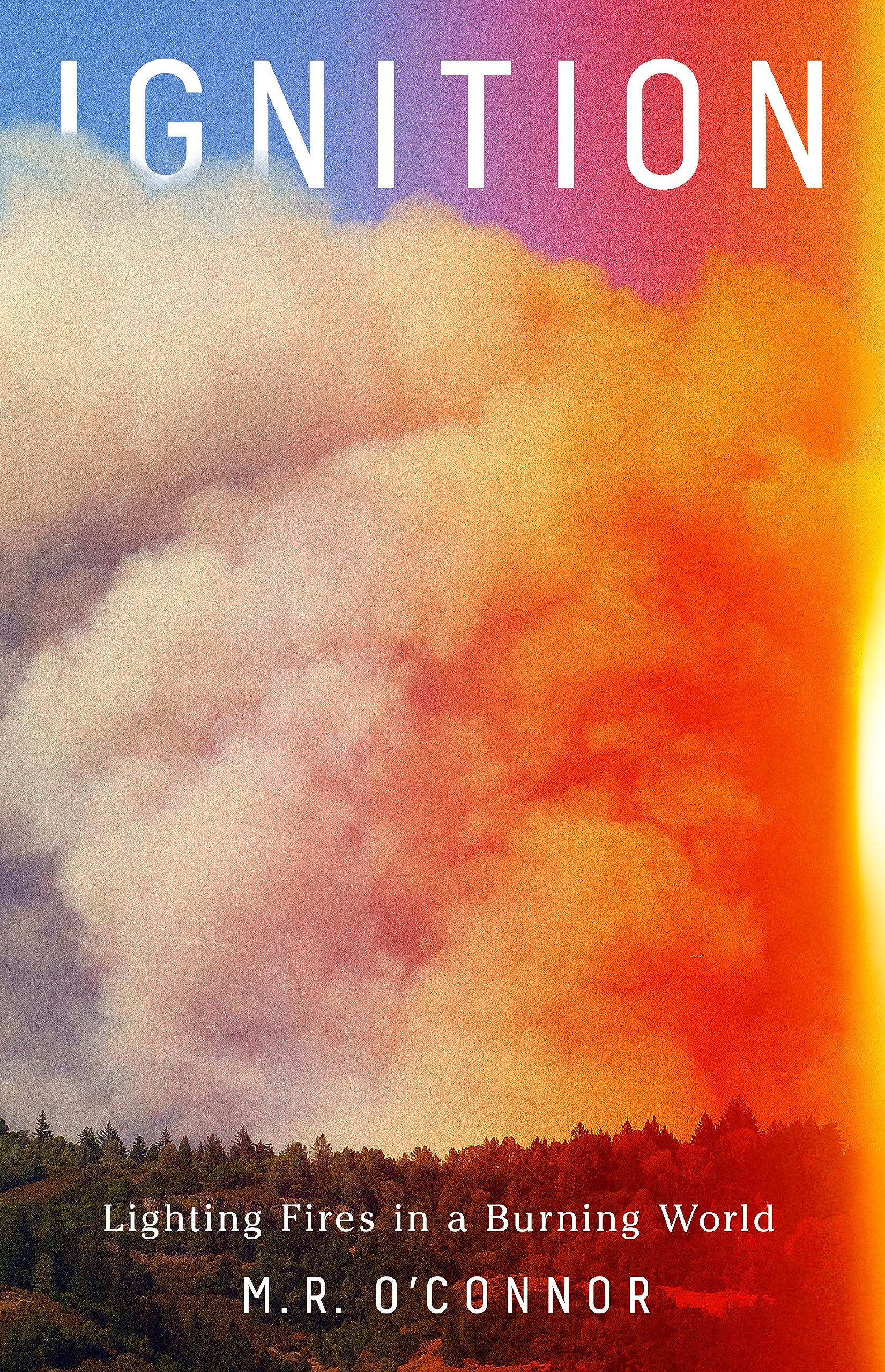 Ignition: Lighting Fires In A Burning World,Used