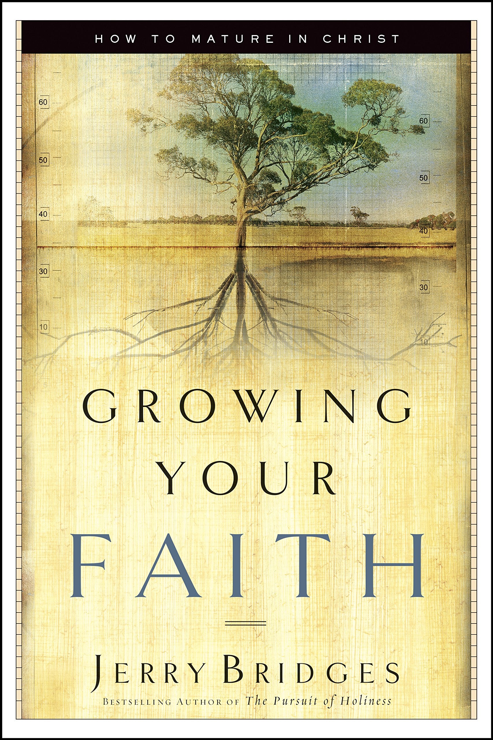 Growing Your Faith: How to Mature in Christ,Used
